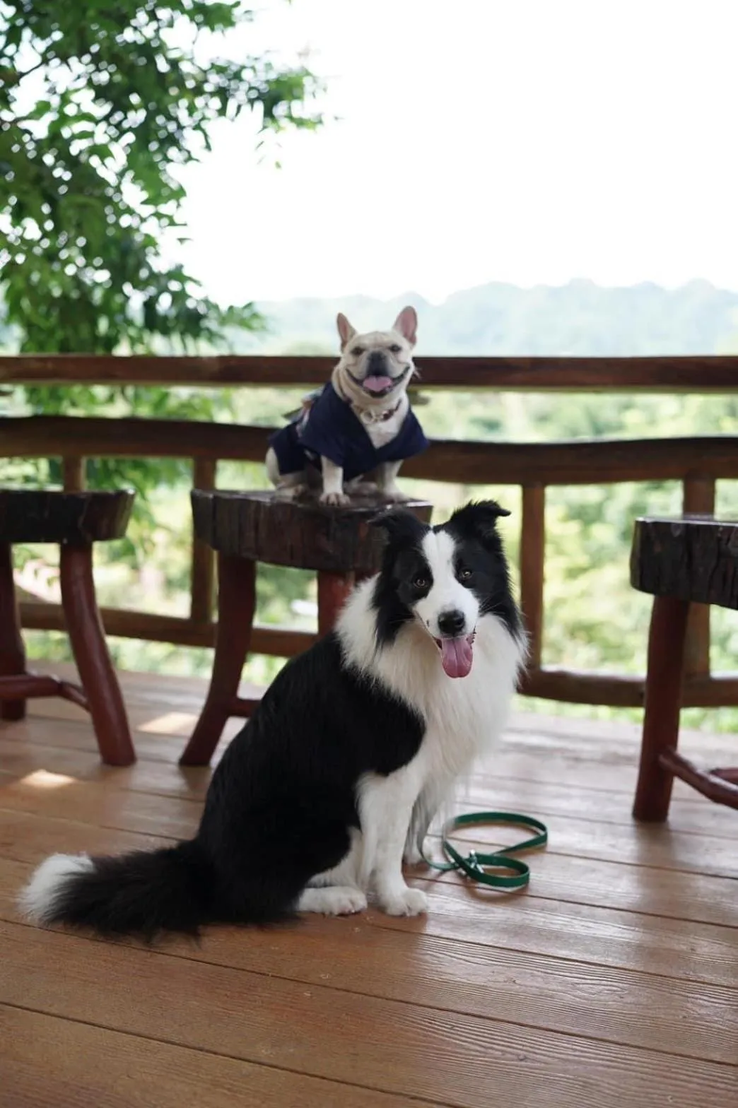 BaanRai KhunYa บ้านไร่คุณย่า