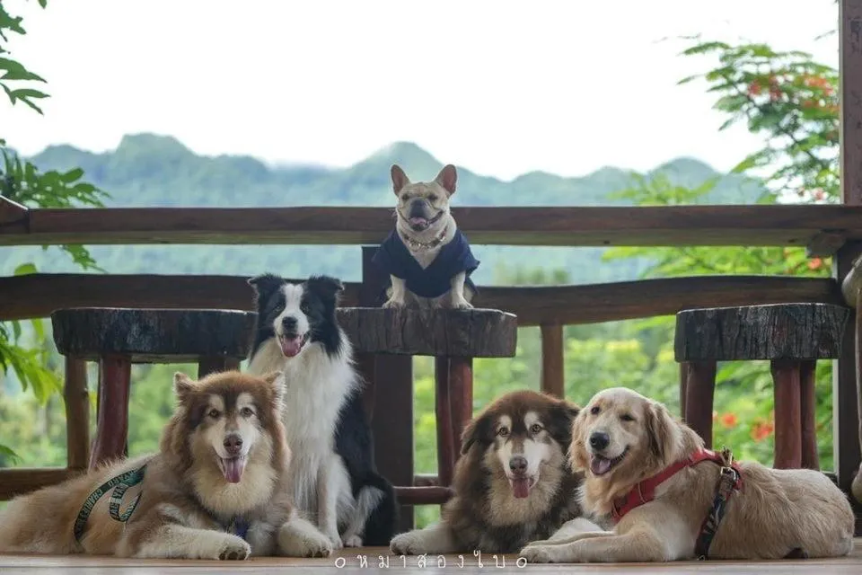 Restaurant/places to eat in BaanRai KhunYa บ้านไร่คุณย่า