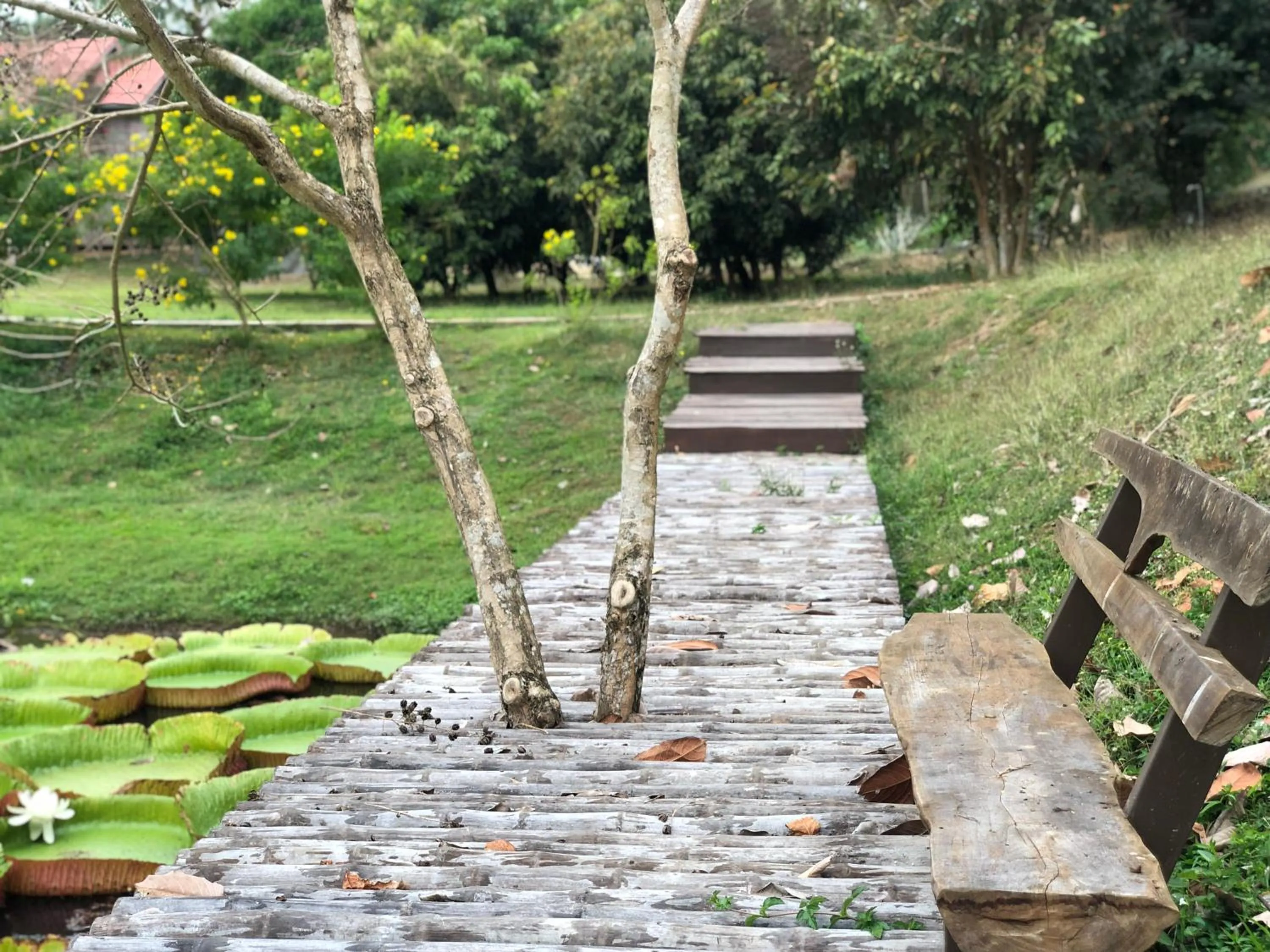 BaanRai KhunYa บ้านไร่คุณย่า