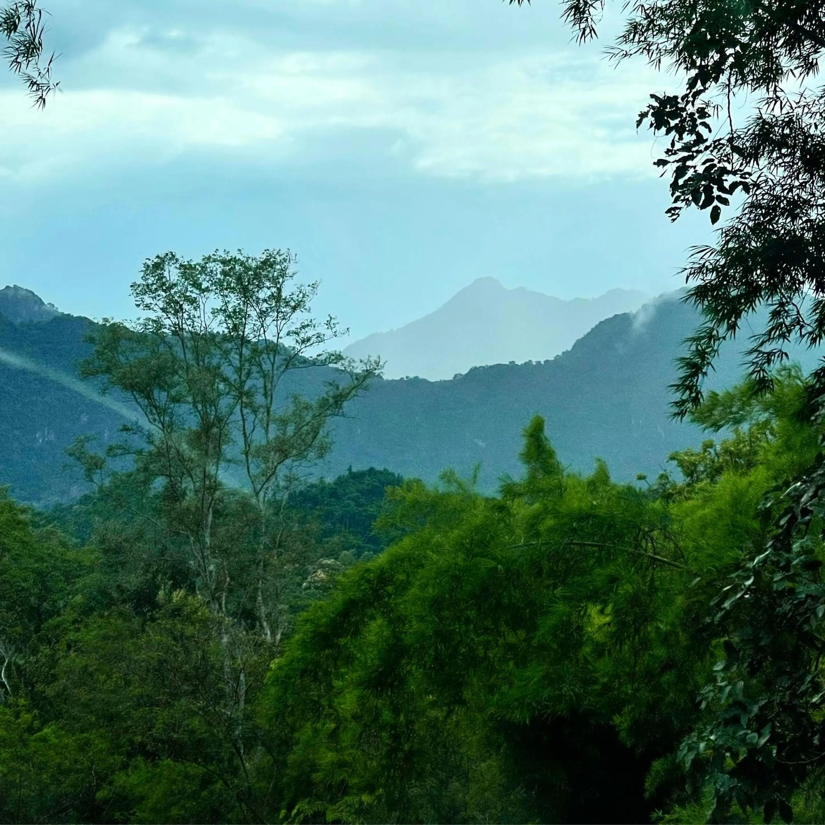 BaanRai KhunYa บ้านไร่คุณย่า