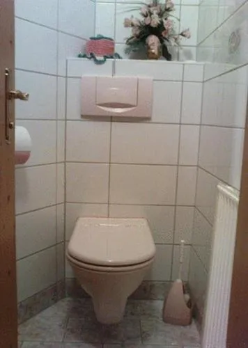Toilet in Ferienwohnungen Egger