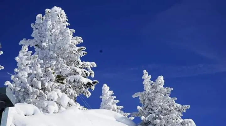 Winter in Ferienwohnungen Egger