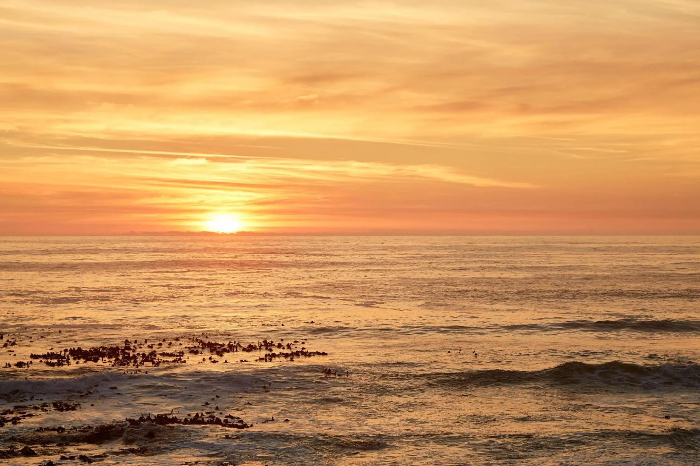 Natural landscape in First Group Riviera Suites