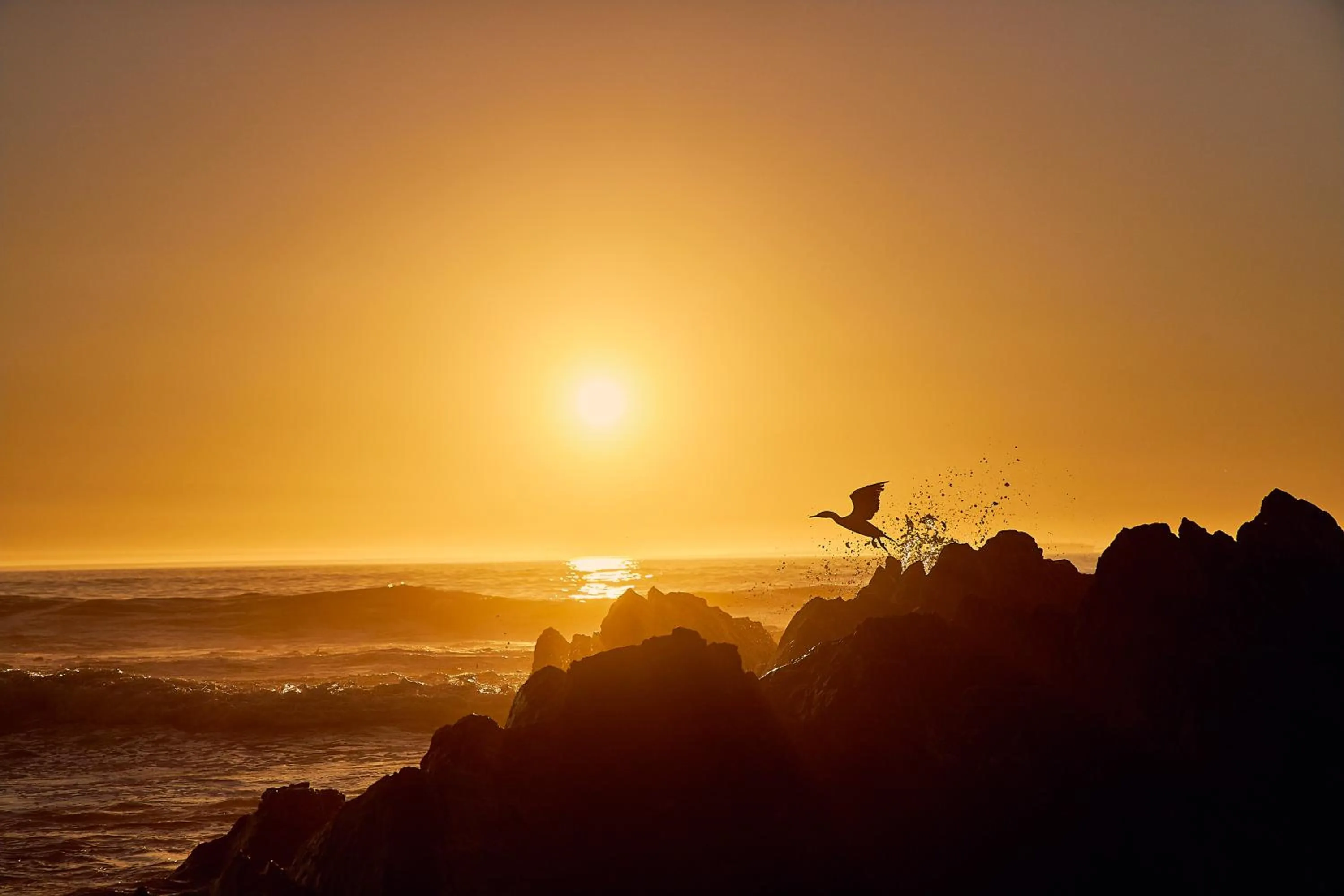 Natural landscape in First Group Riviera Suites