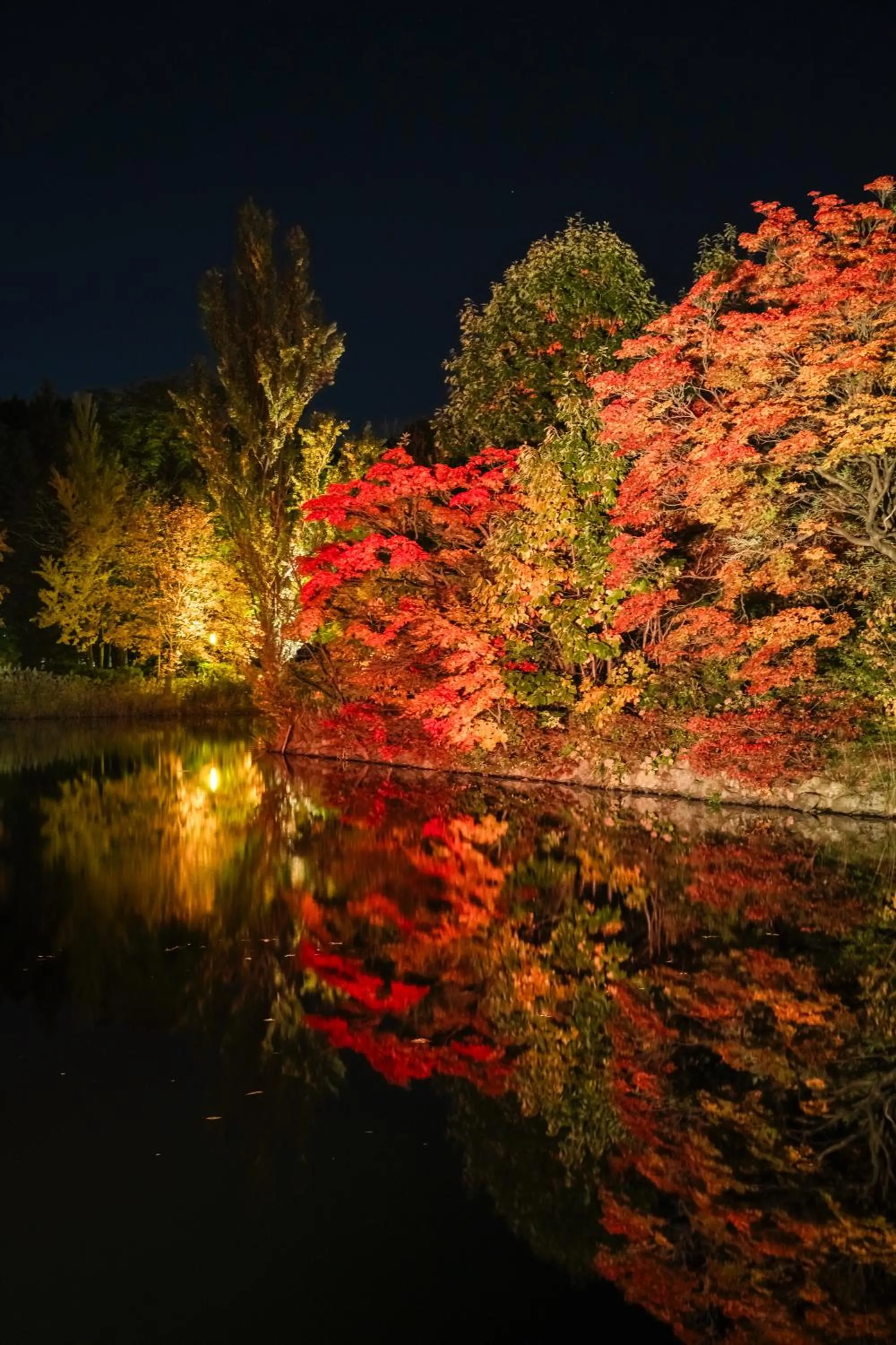Nearby landmark in HOTEL MYSTAYS Sapporo Nakajima Park