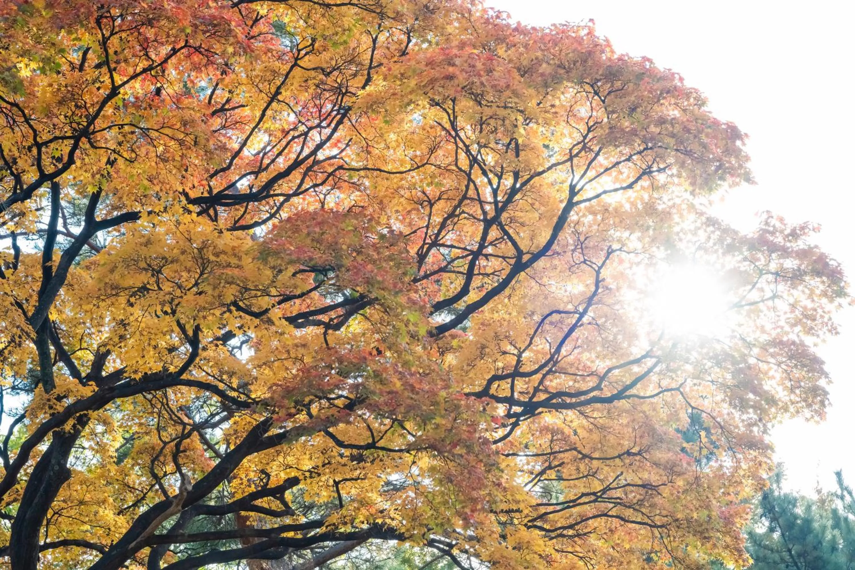 Nearby landmark in HOTEL MYSTAYS Sapporo Nakajima Park