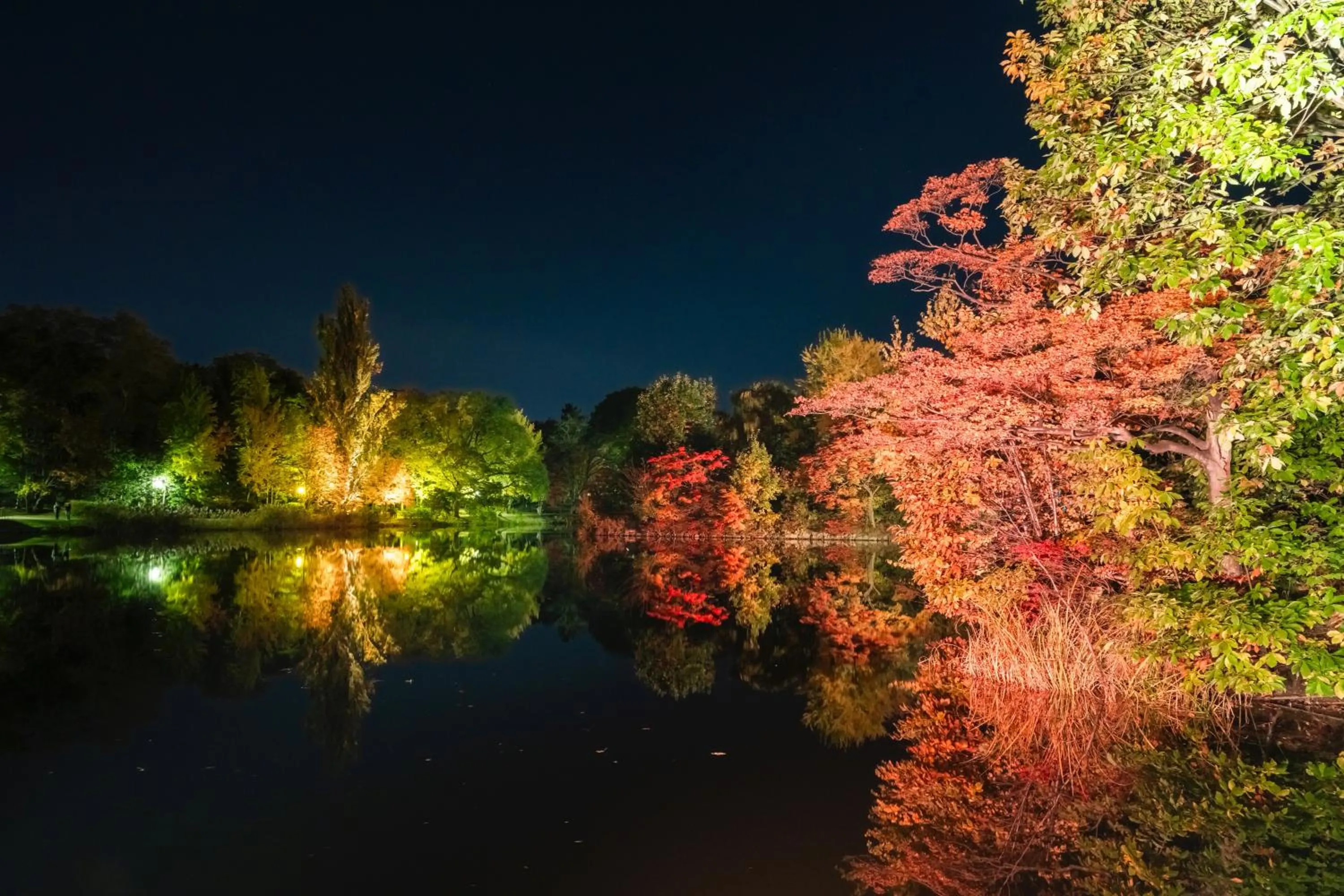 Nearby landmark in HOTEL MYSTAYS Sapporo Nakajima Park