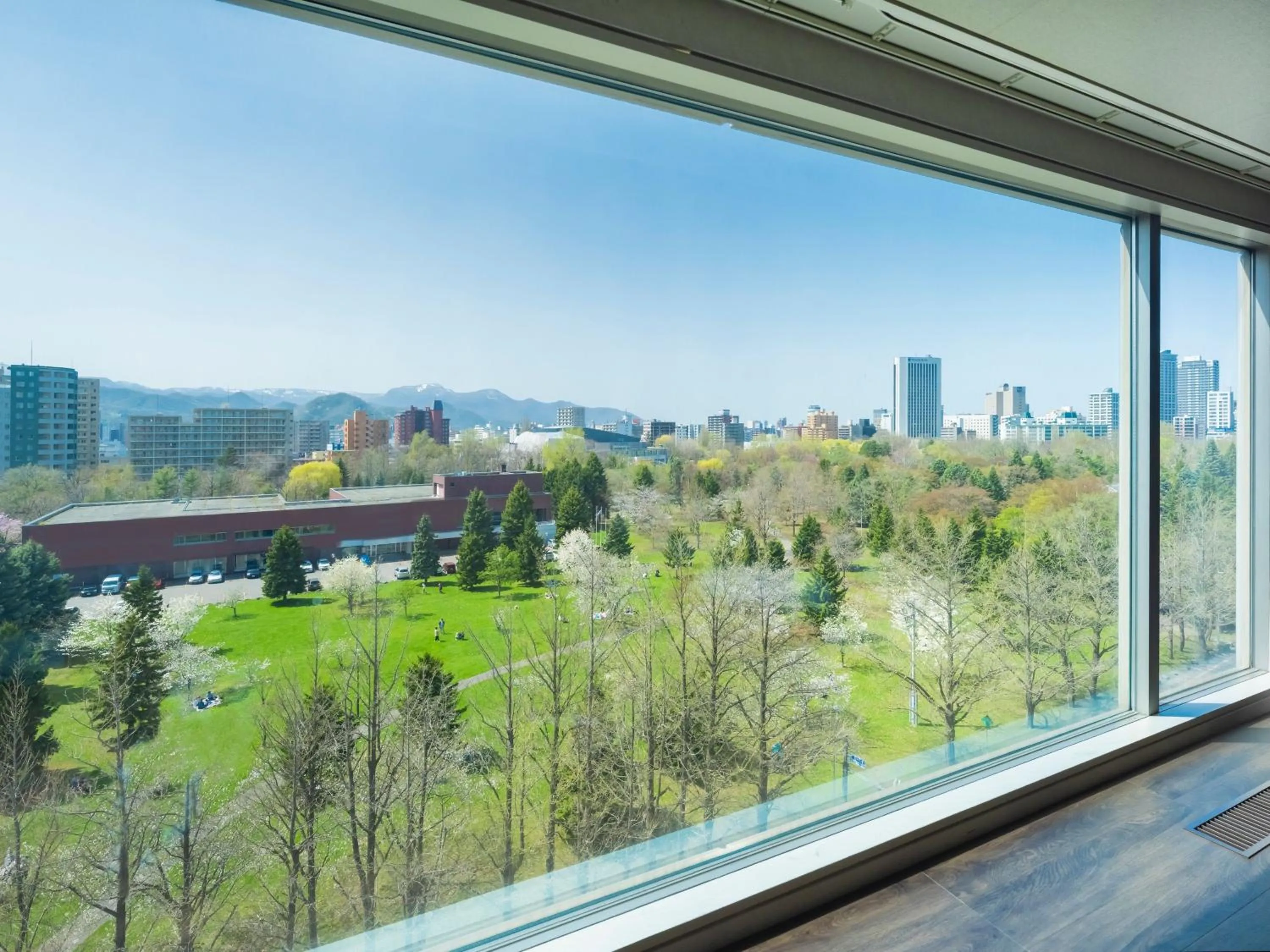 Photo of the whole room in HOTEL MYSTAYS Sapporo Nakajima Park