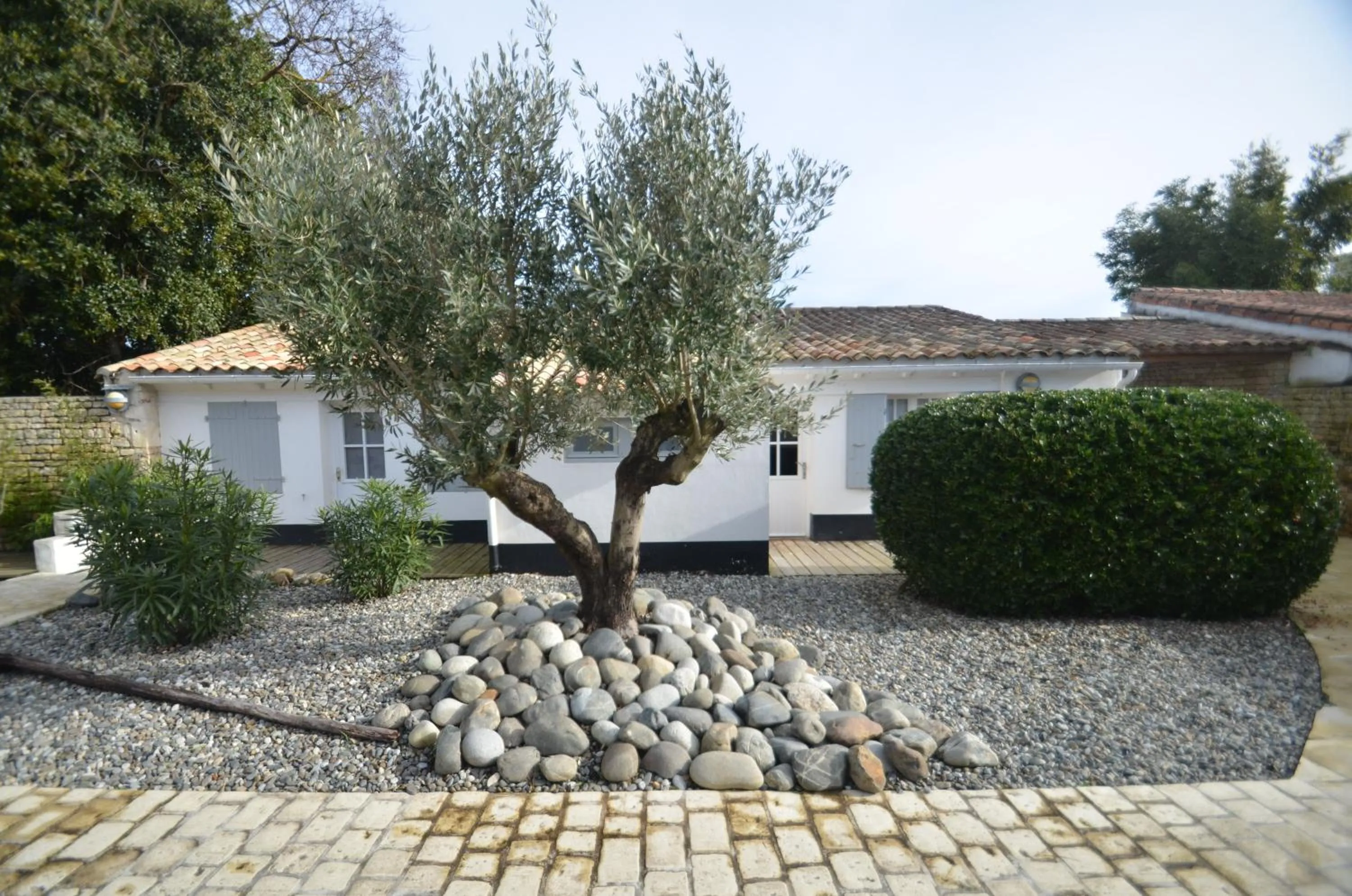 Garden in Hotel L'Océan