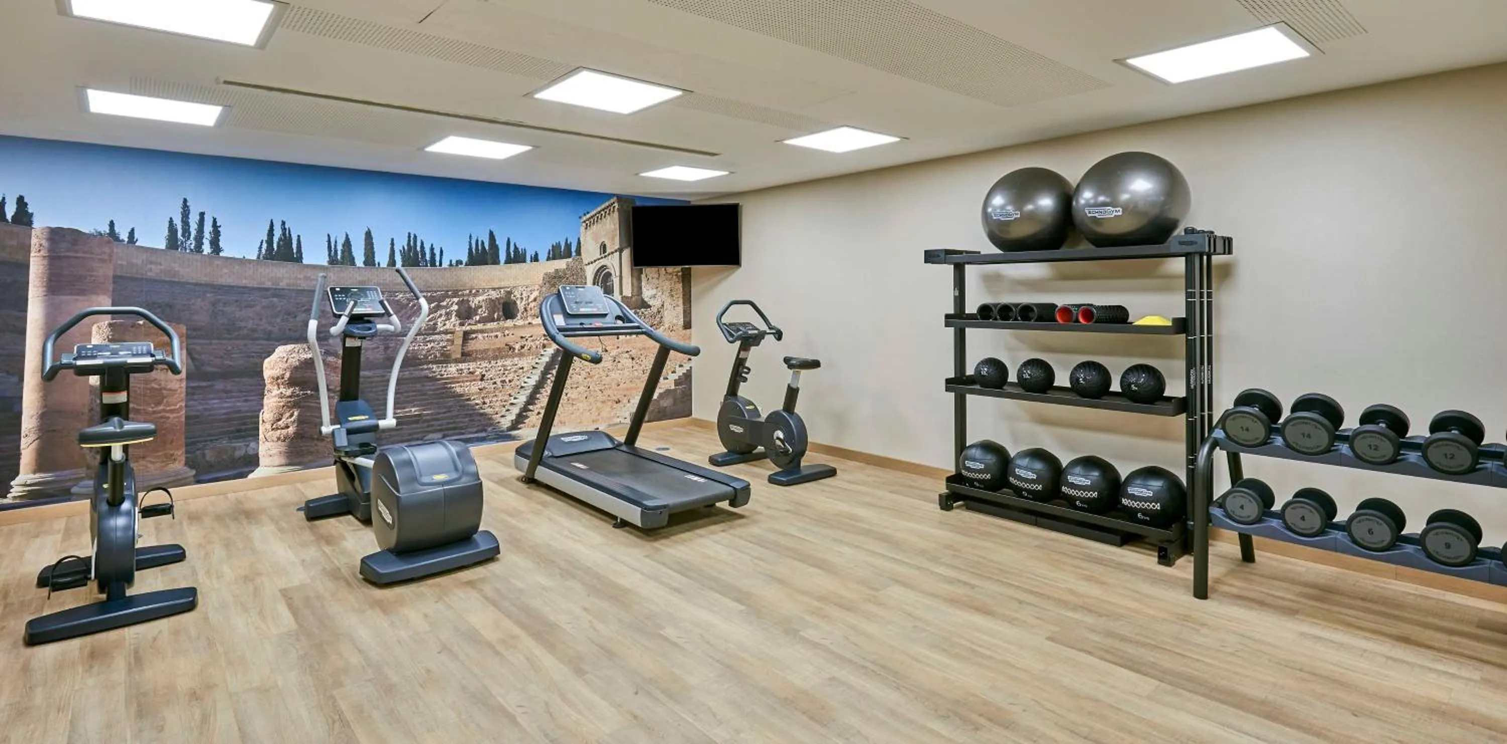 Fitness centre/facilities in NH Campo Cartagena