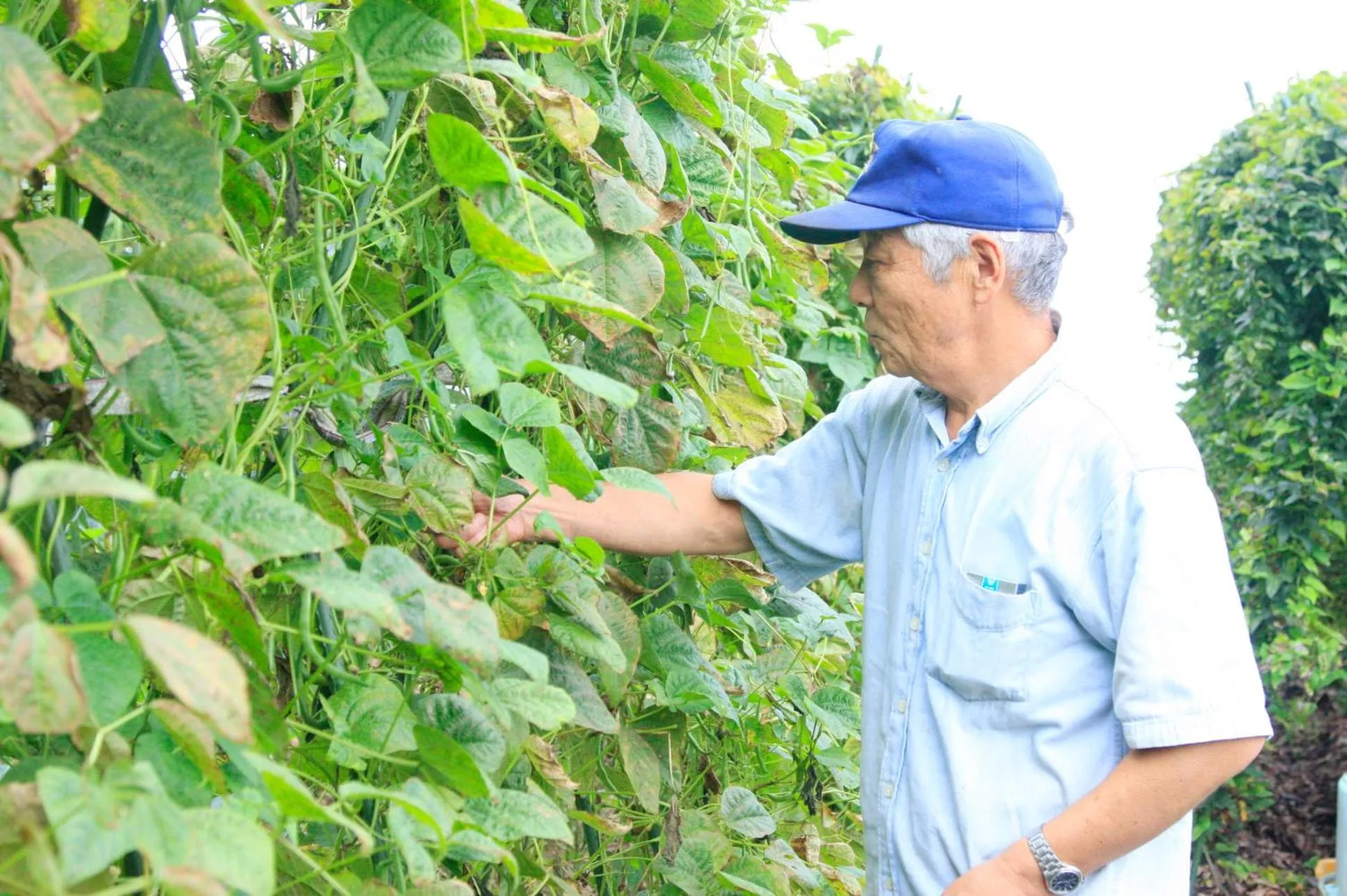 Area and facilities in Nobori