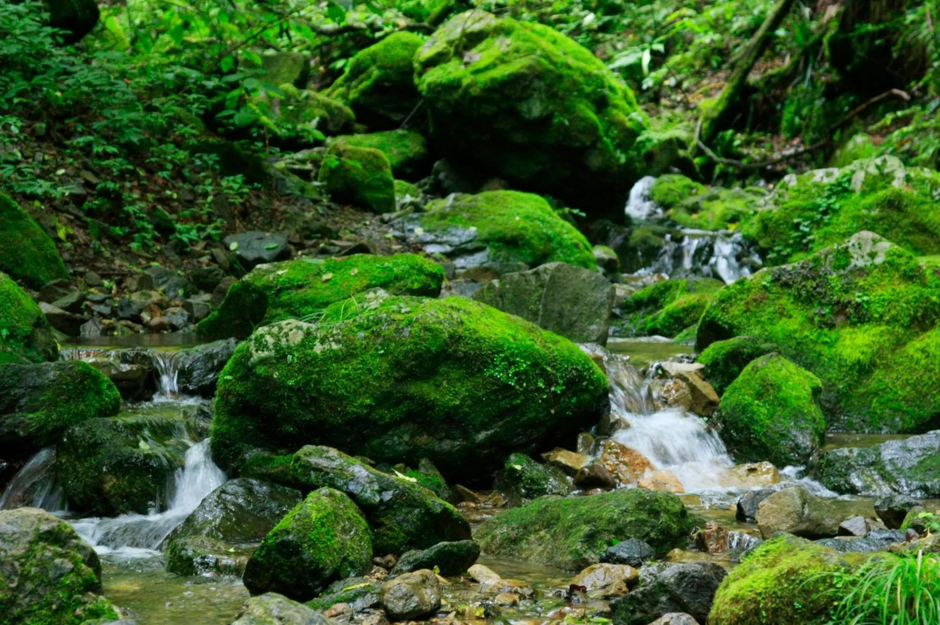 Nearby landmark in Nobori