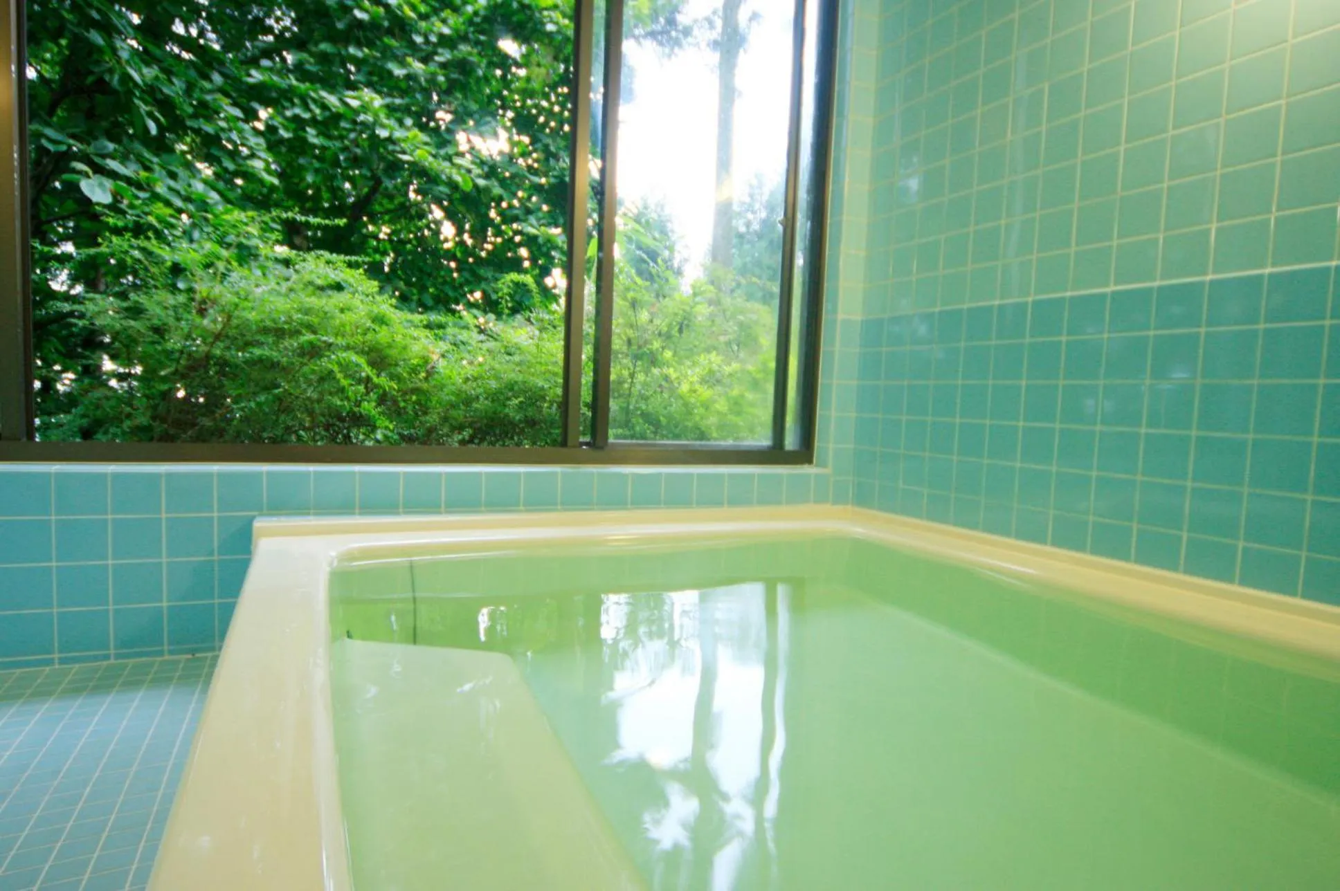 Public Bath in Nobori