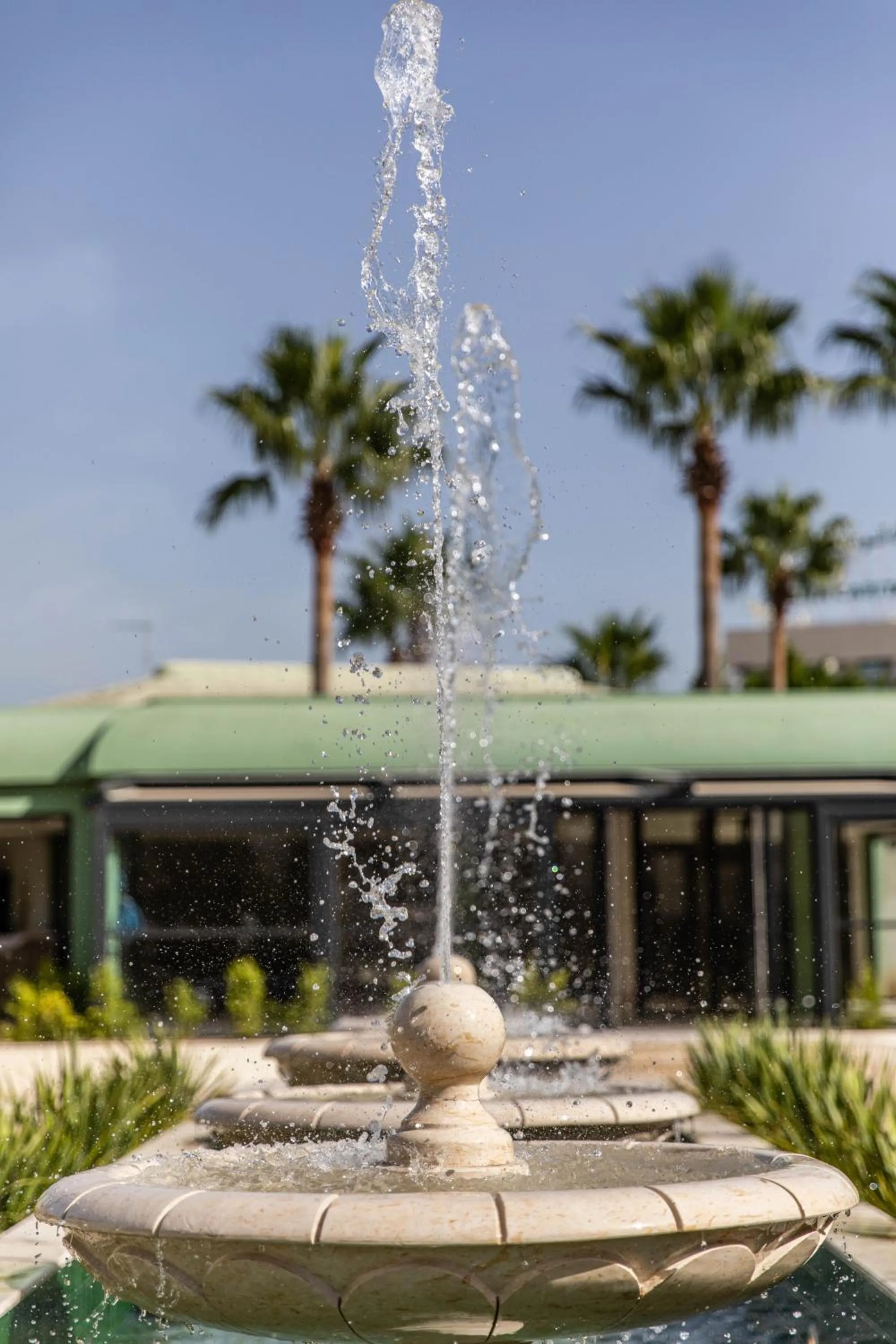 Spring in Acropole Tunis