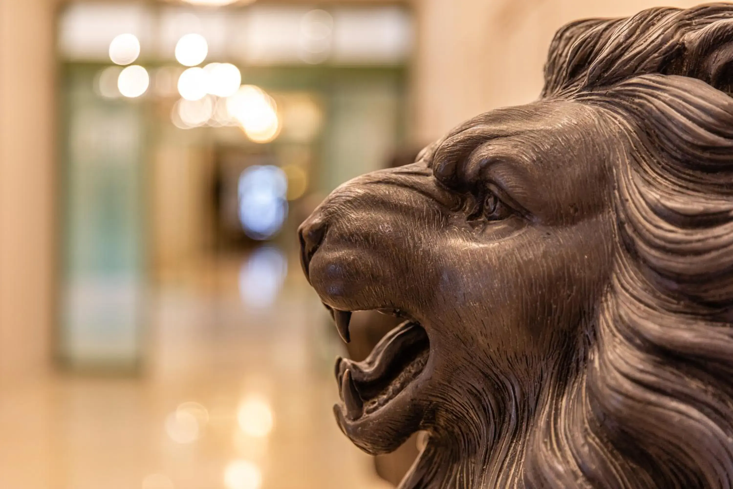 Lobby or reception in Acropole Tunis Lobby or reception in Acropole Tunis