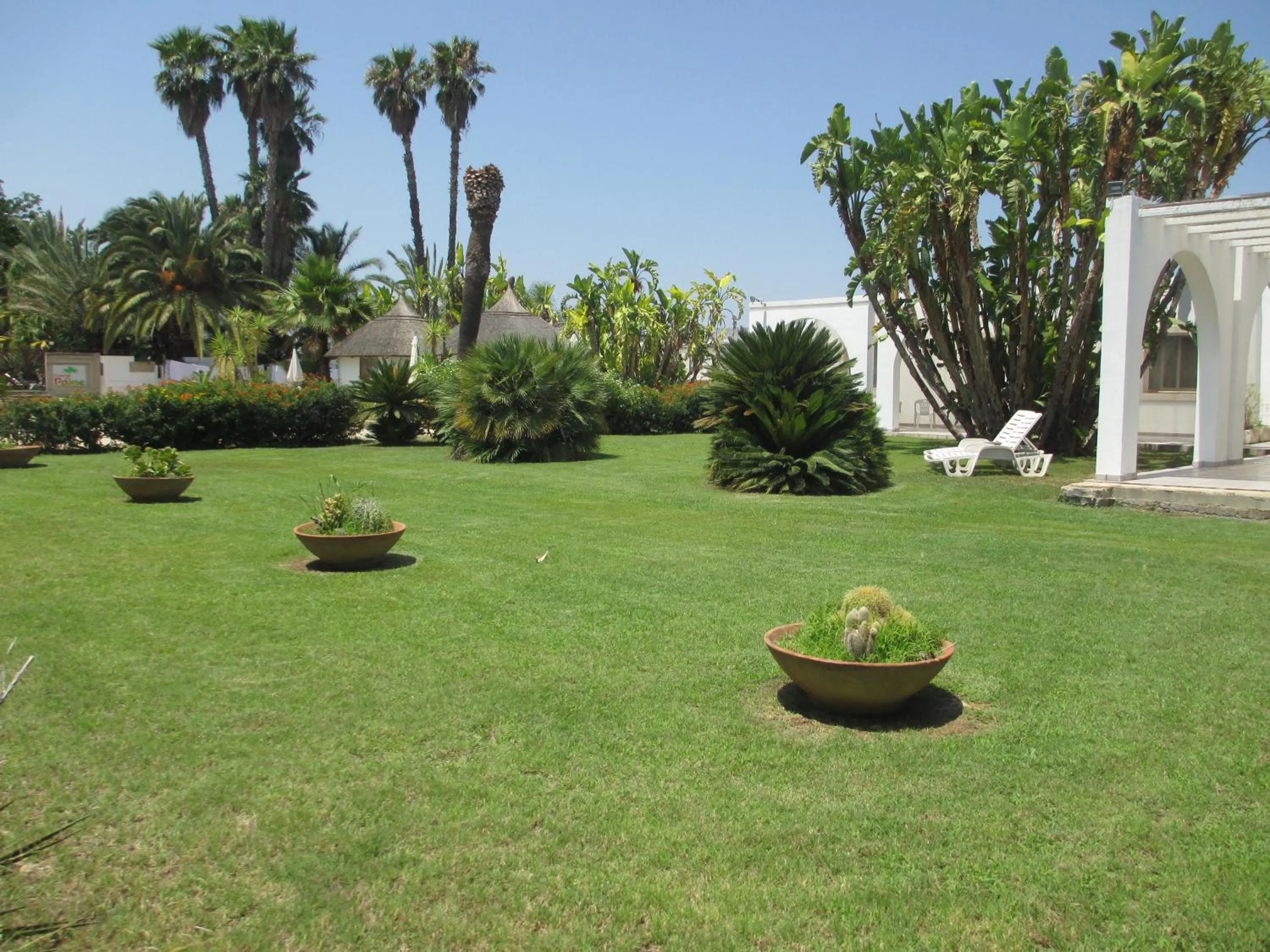 Garden in Cuore Di Palme