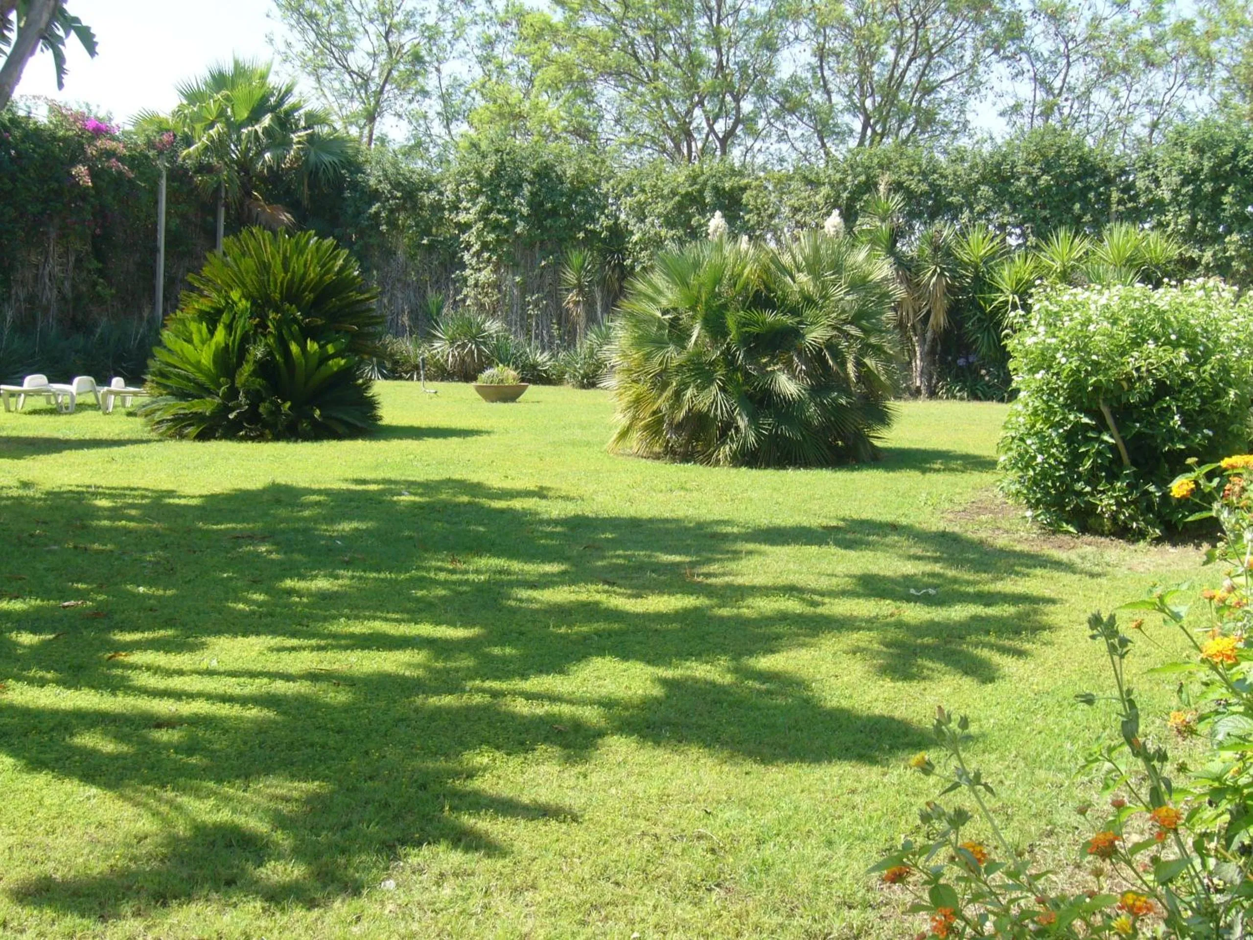 Garden in Cuore Di Palme