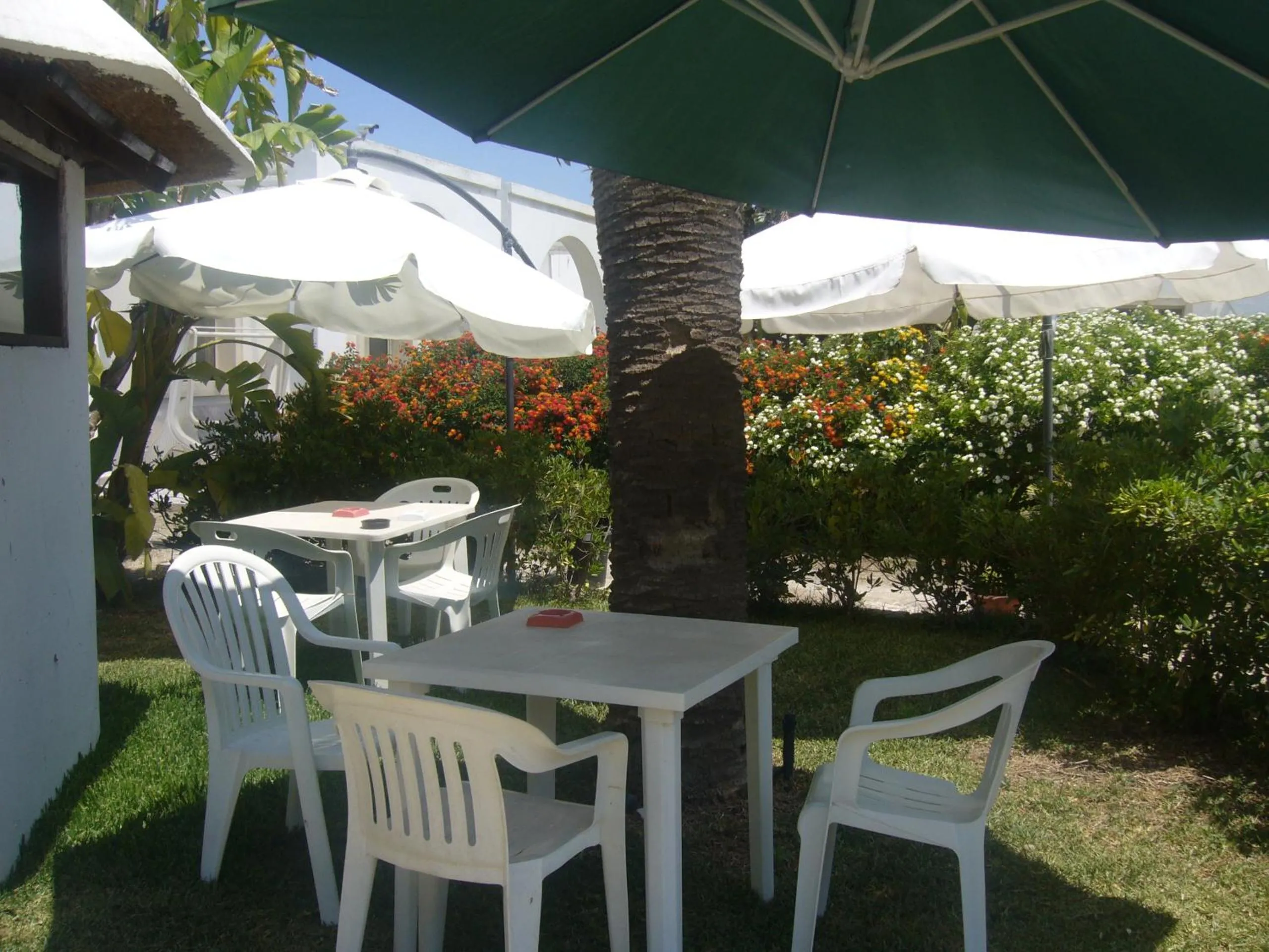Restaurant/places to eat in Cuore Di Palme