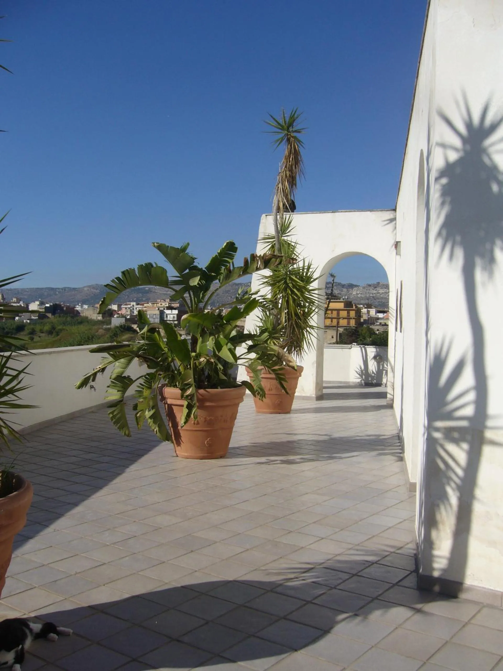 Balcony/Terrace in Cuore Di Palme