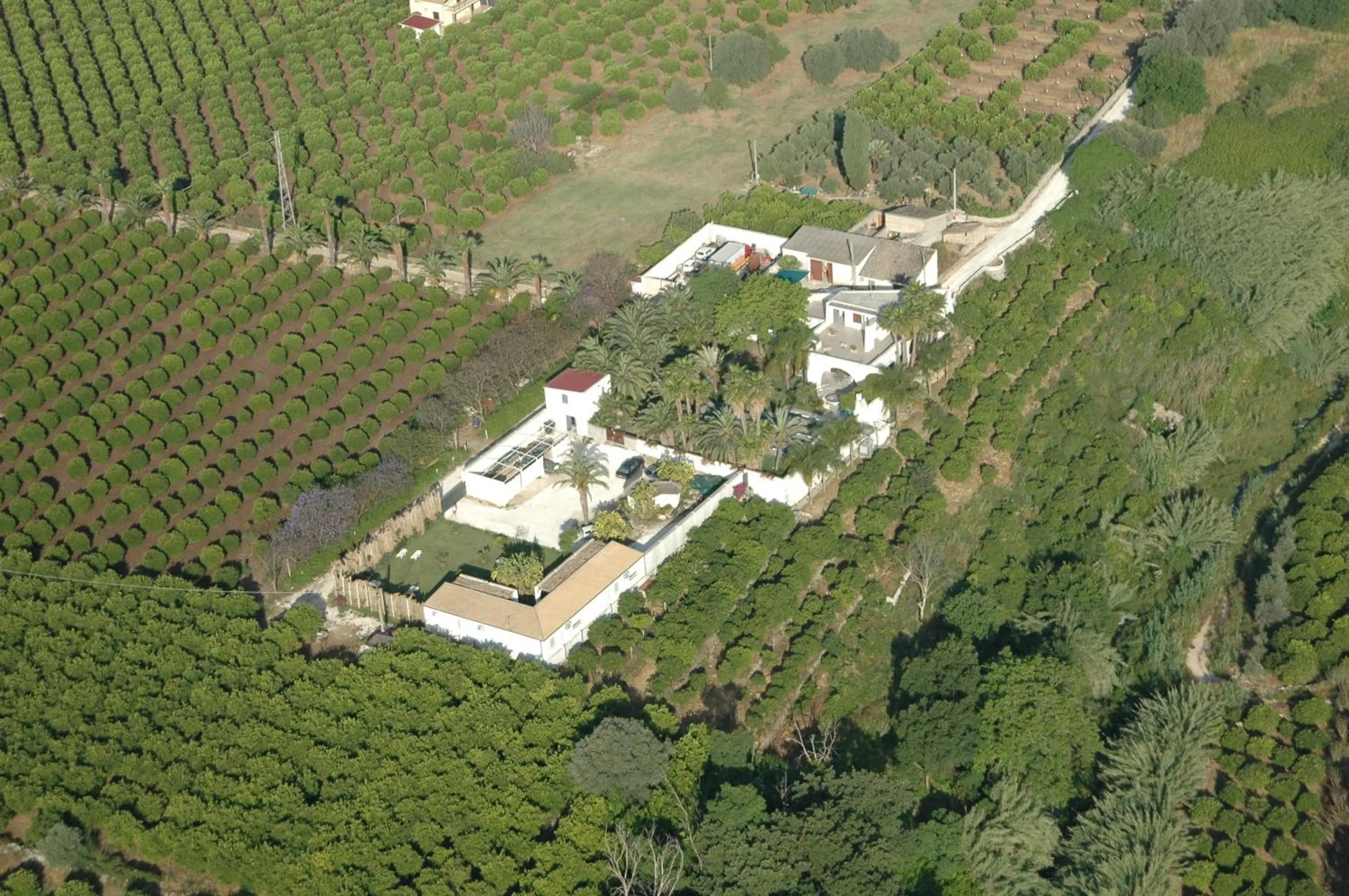 Bird's eye view in Cuore Di Palme