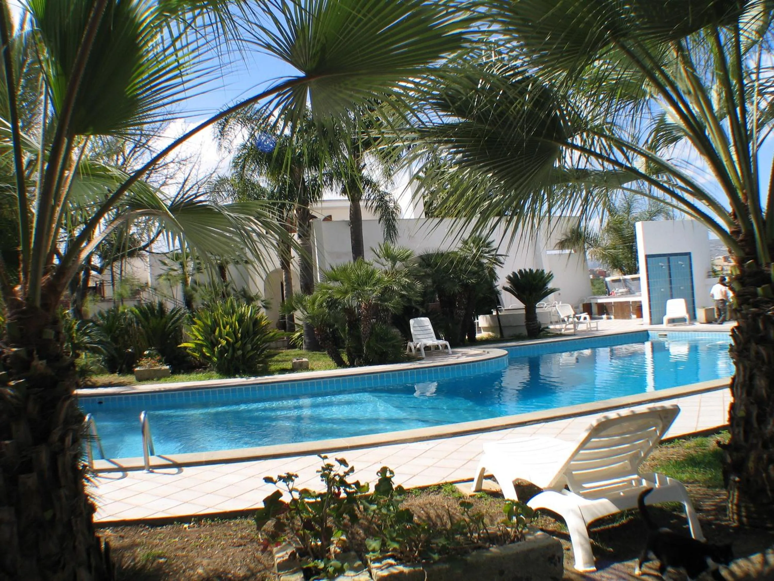 Swimming pool in Cuore Di Palme