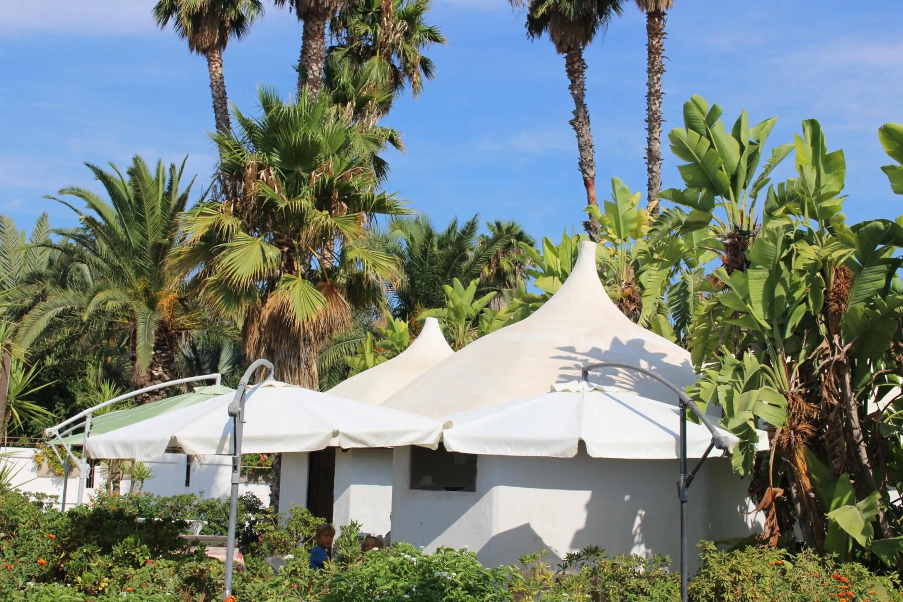 Property building in Cuore Di Palme