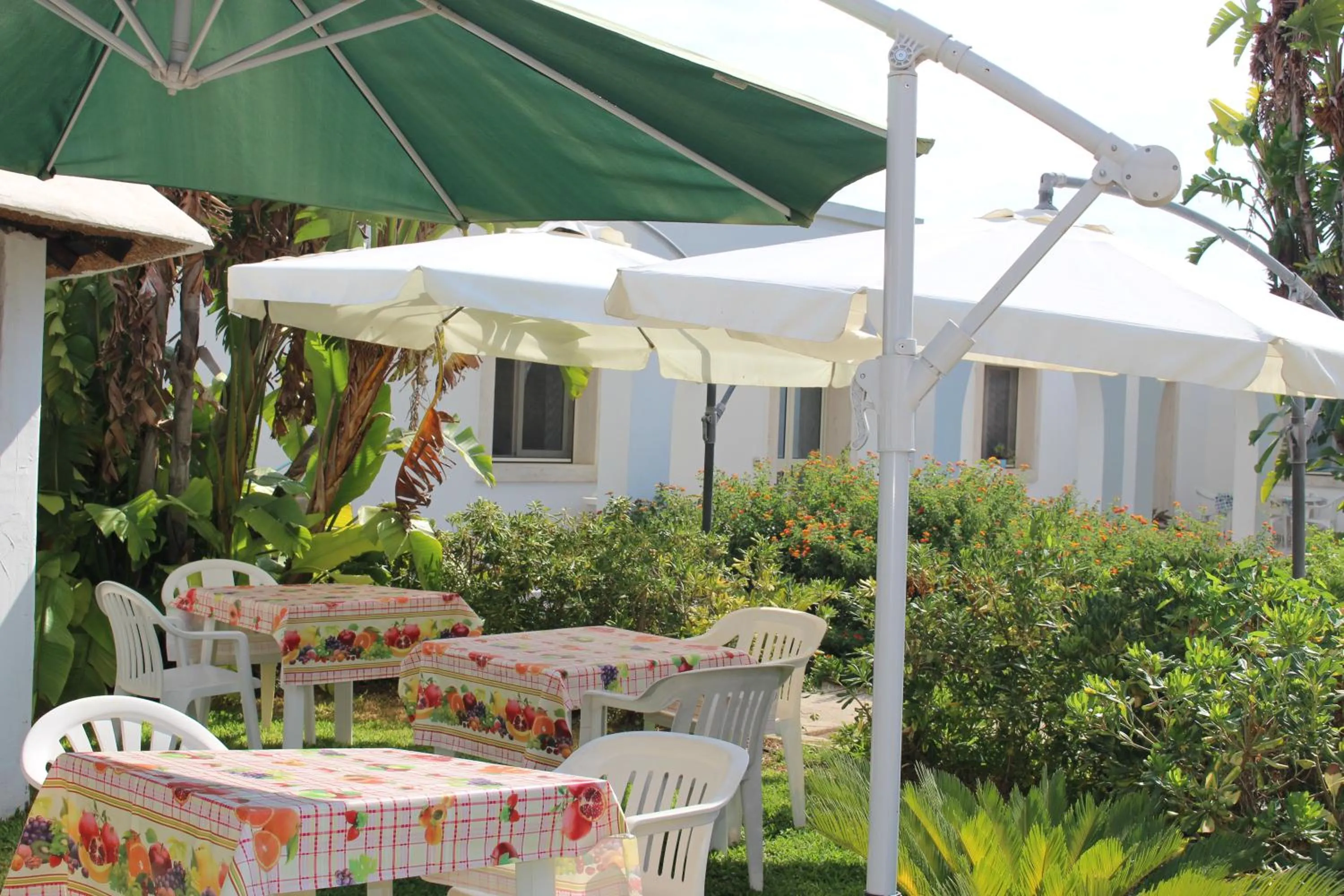 Restaurant/places to eat in Cuore Di Palme
