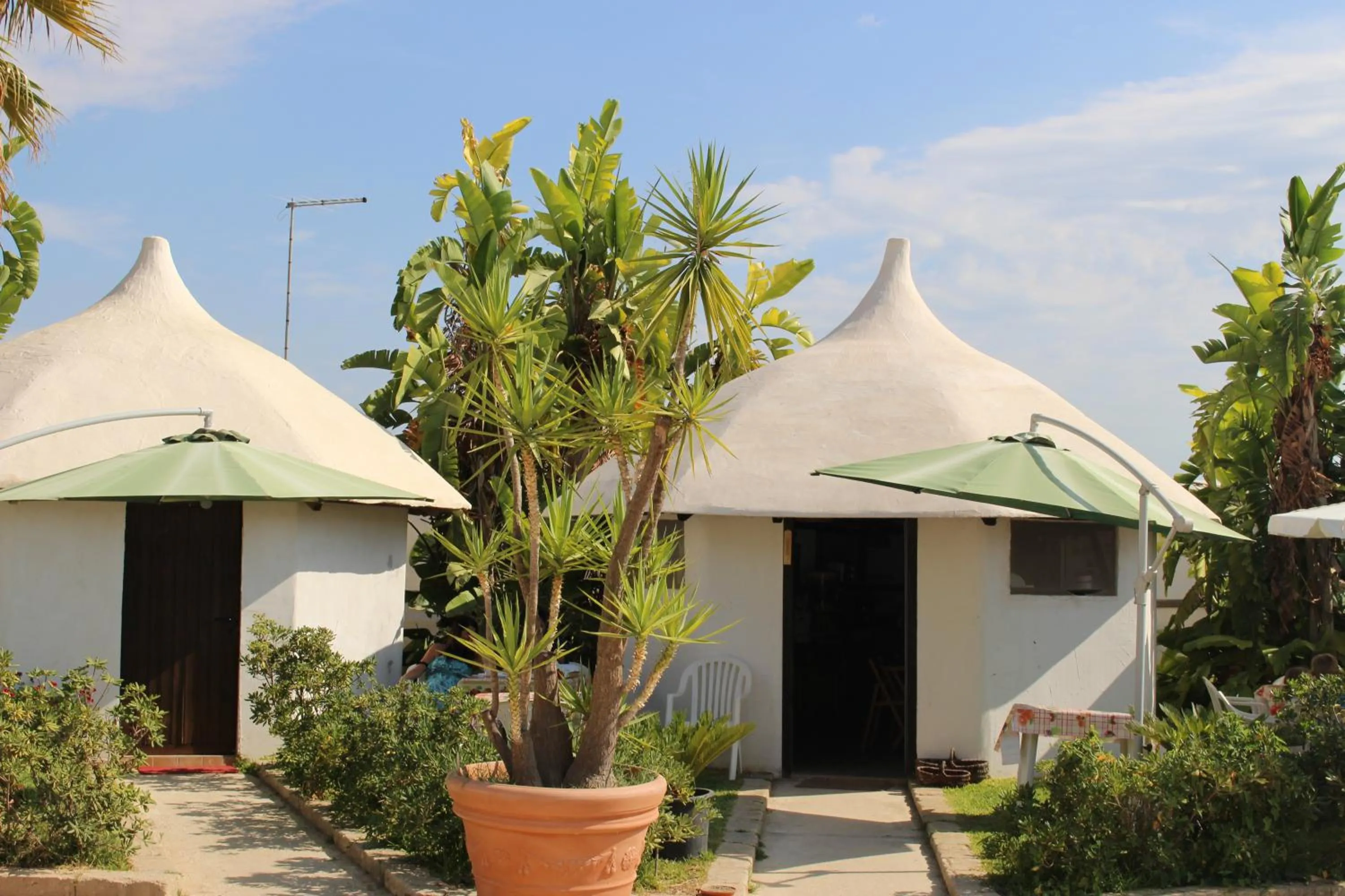 Restaurant/places to eat in Cuore Di Palme