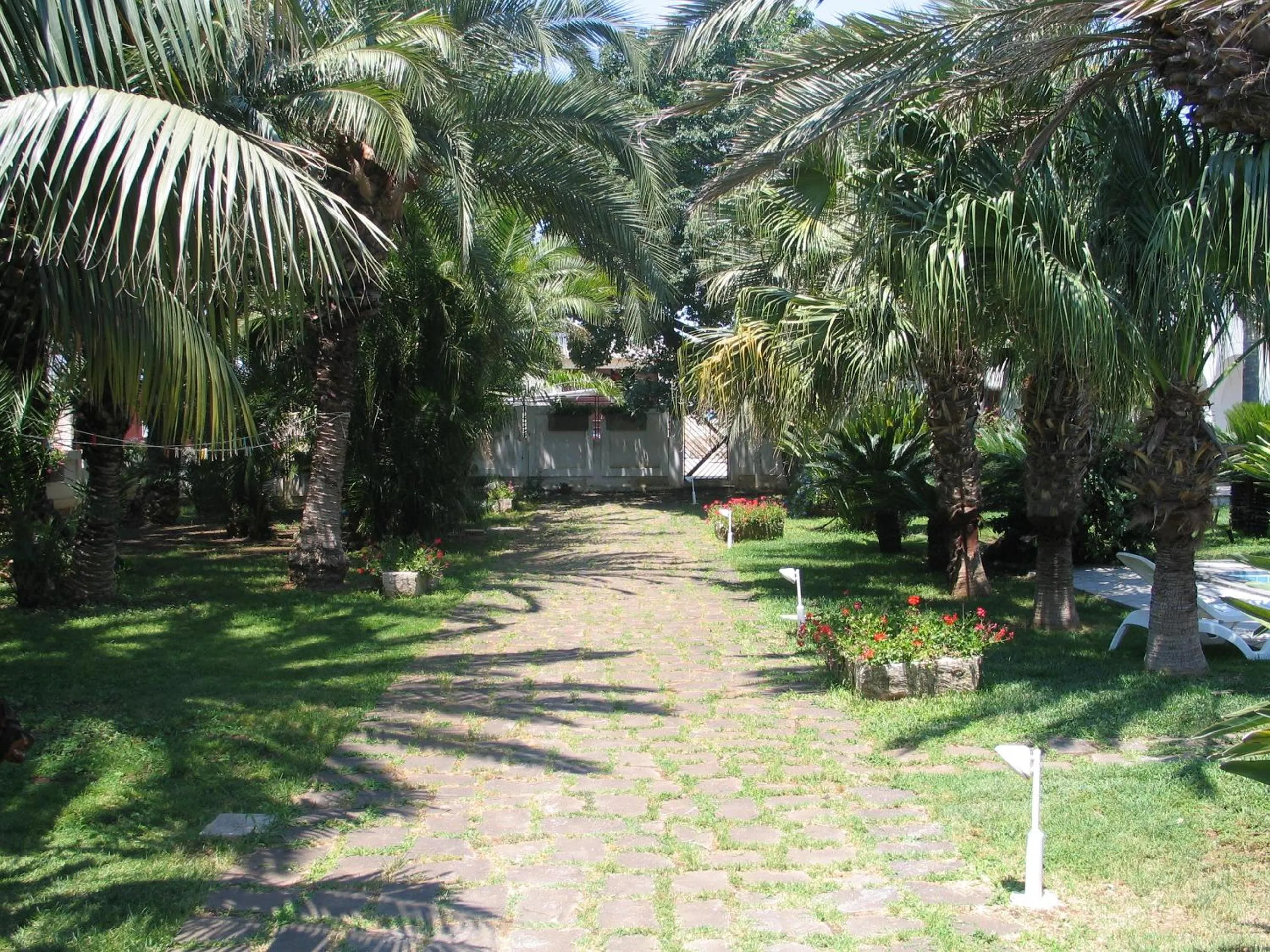 Garden in Cuore Di Palme