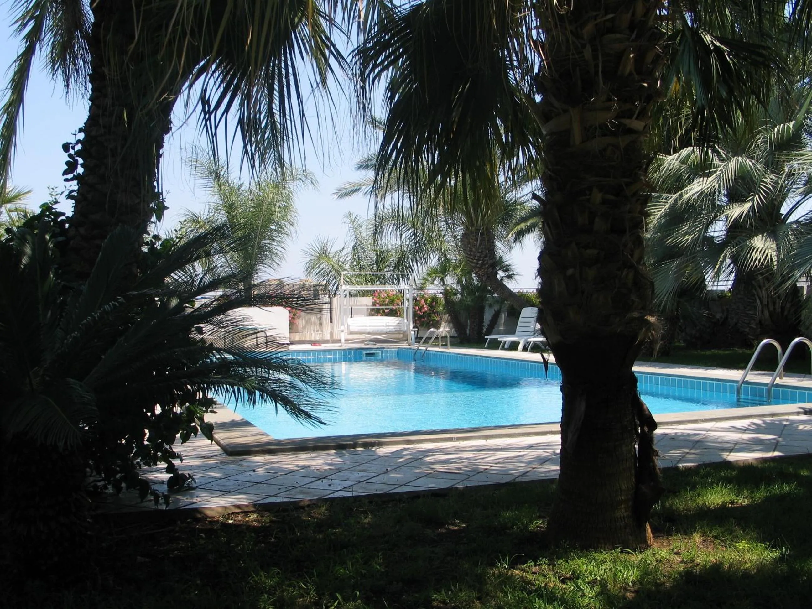 Swimming pool in Cuore Di Palme