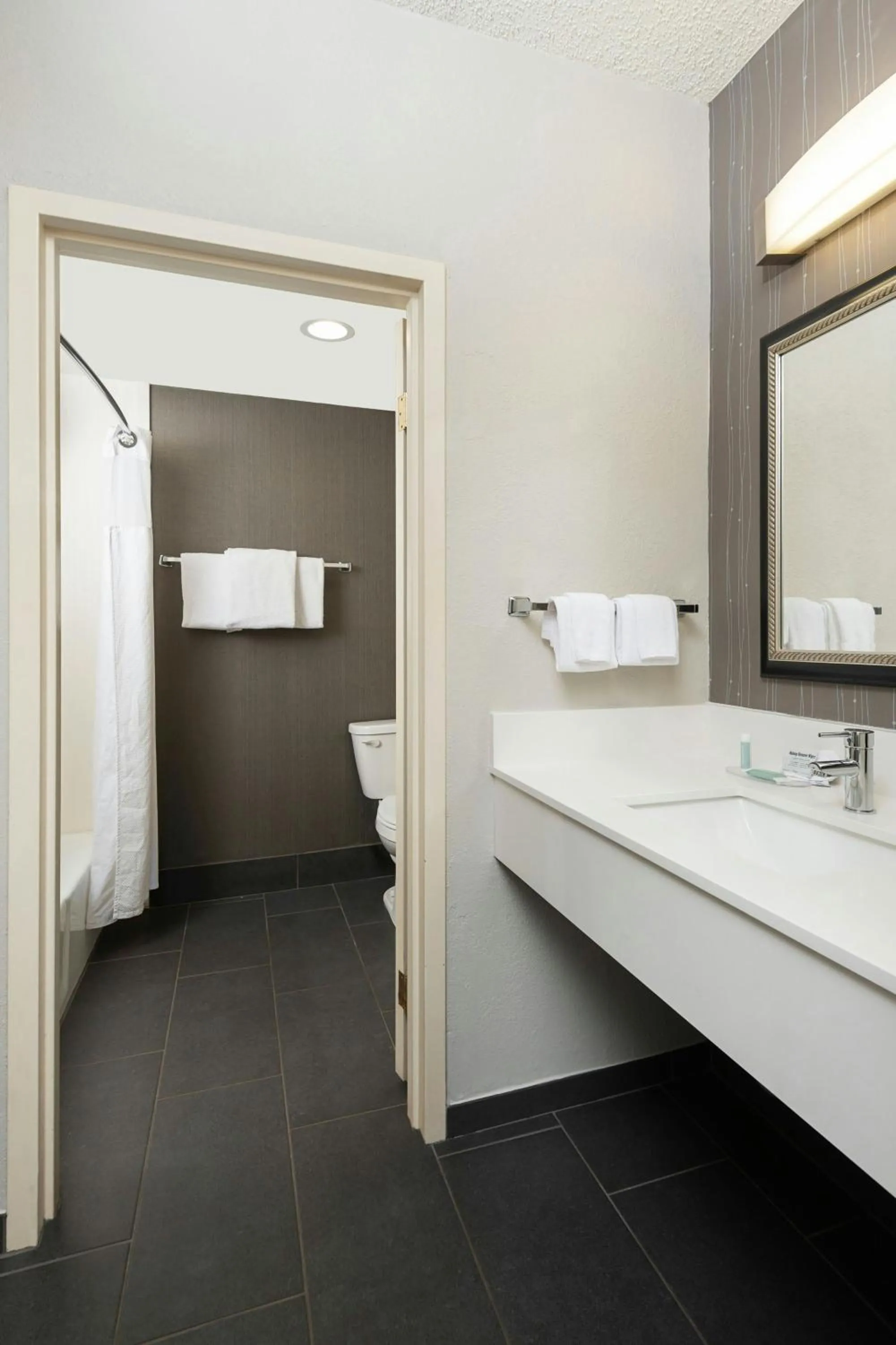 Bathroom in Courtyard by Marriott Dallas-Fort Worth/Bedford