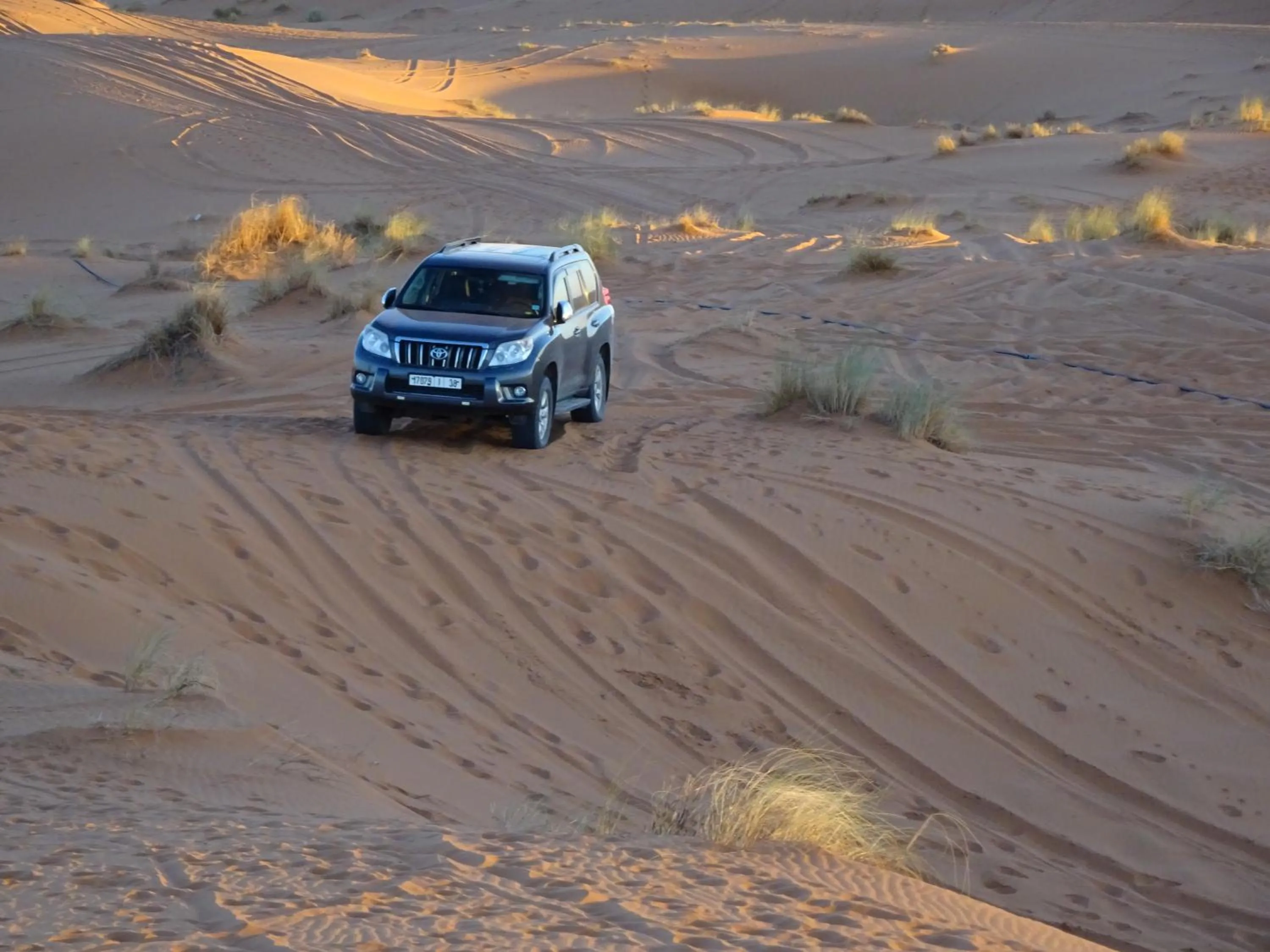 Natural landscape in Riad Dar Bab Todra