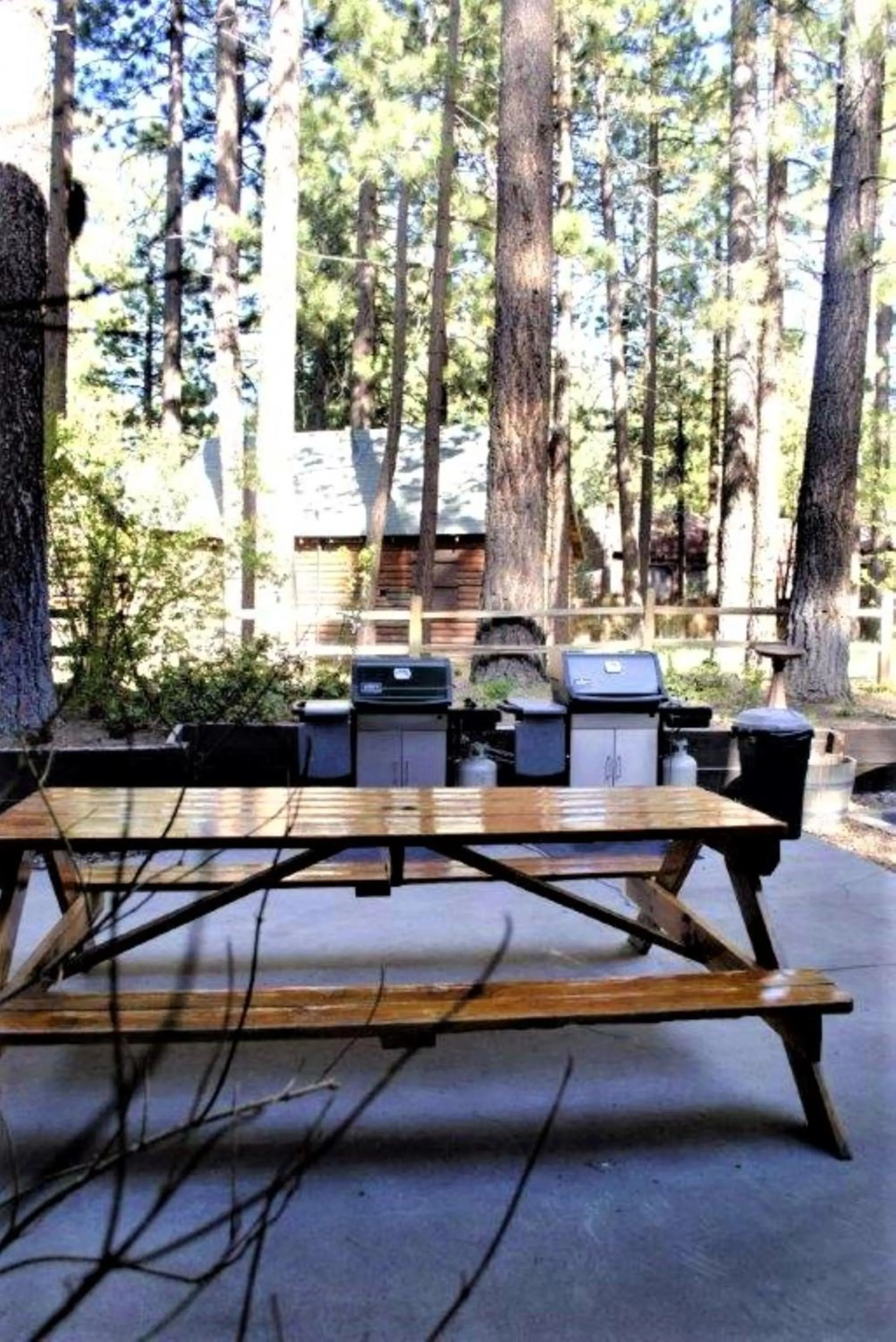 Patio in Snow Lake Lodge