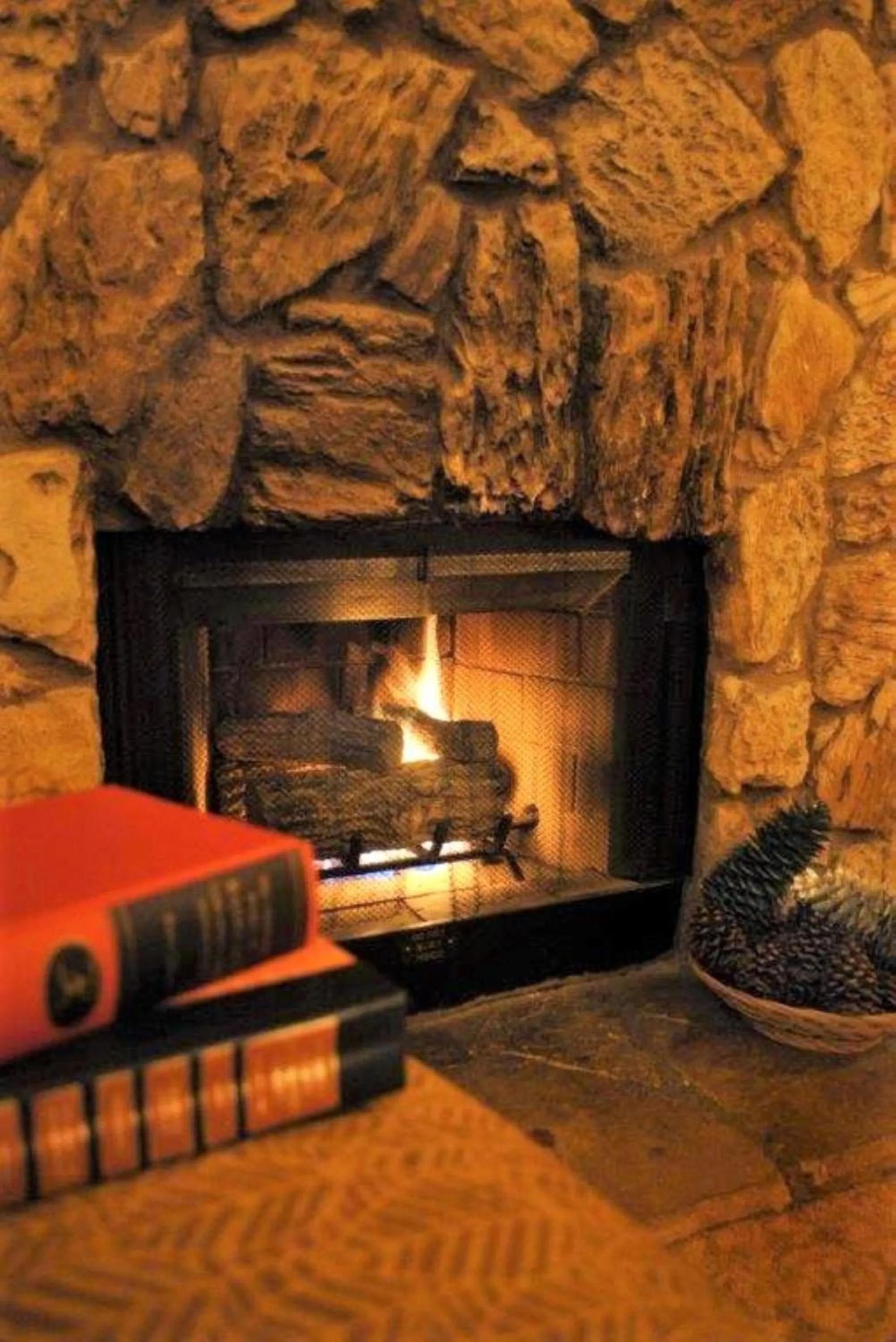 Living room in Snow Lake Lodge