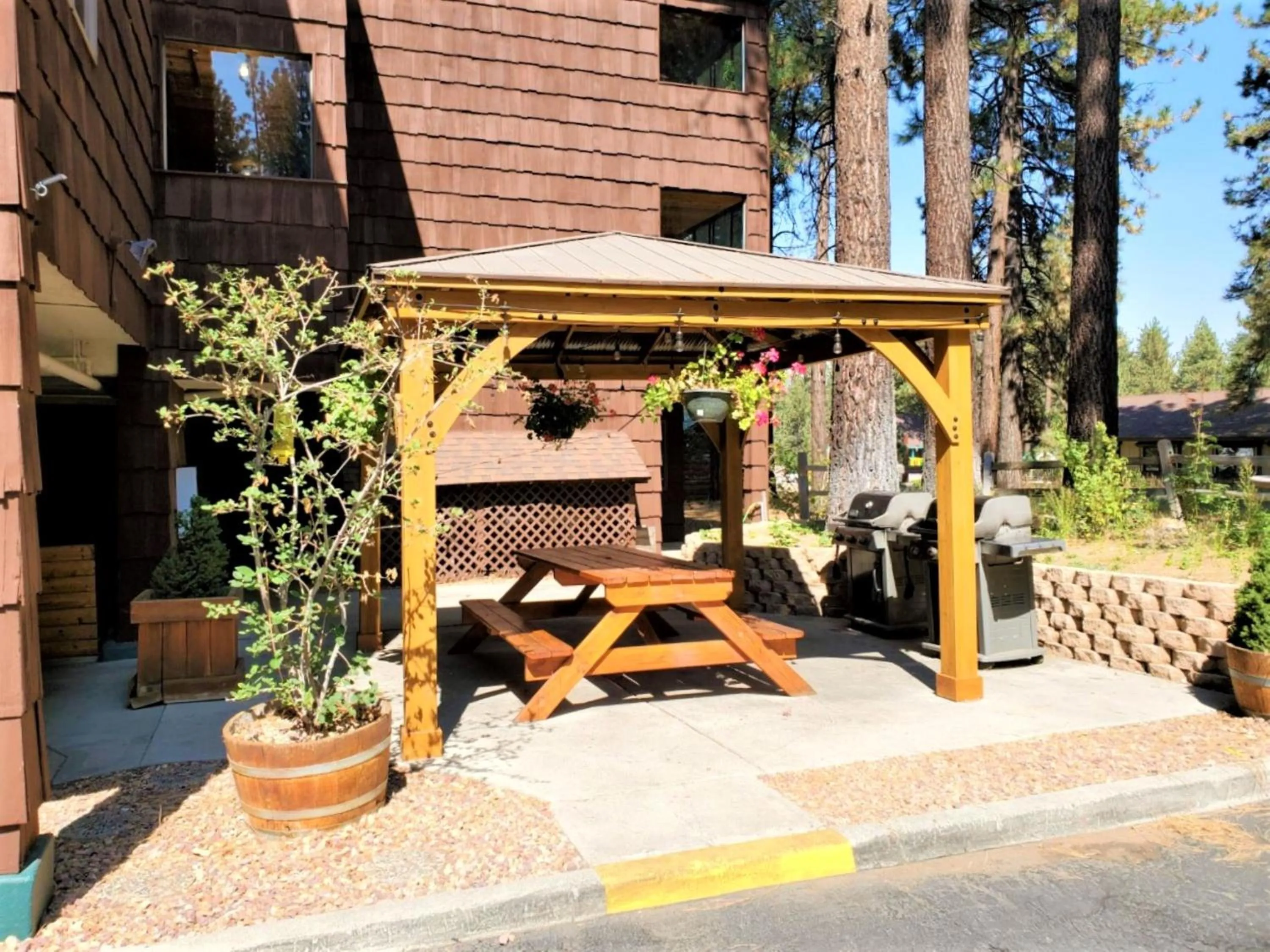 Patio in Snow Lake Lodge