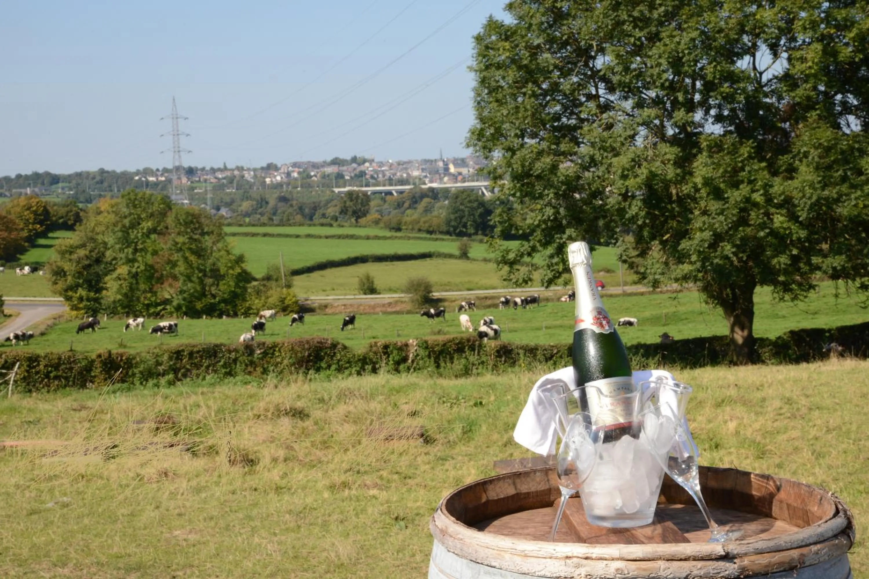 Garden in Les Coteaux du Vinave