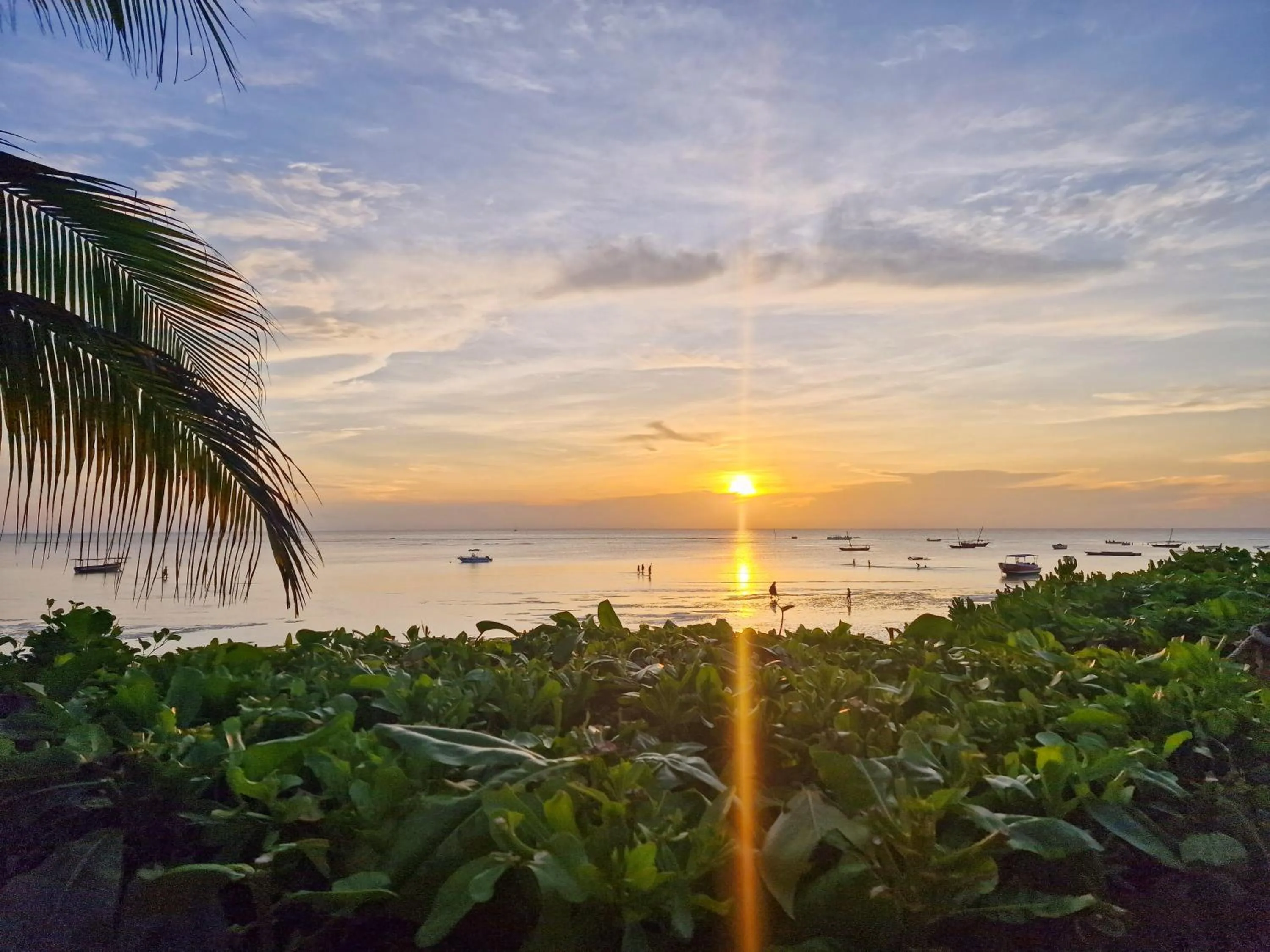 Natural landscape in Aya Beach Resort