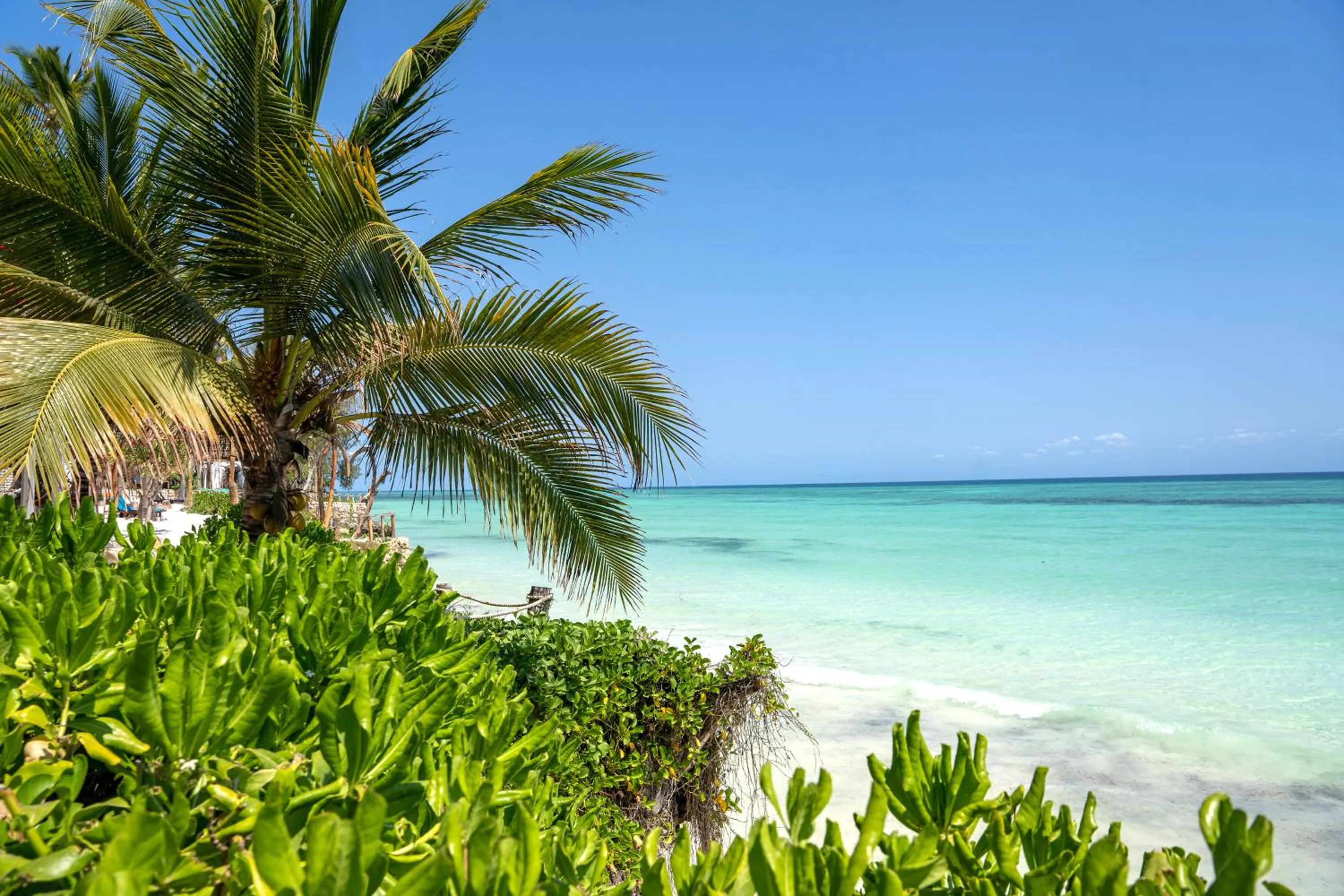 Day in Aya Beach Resort