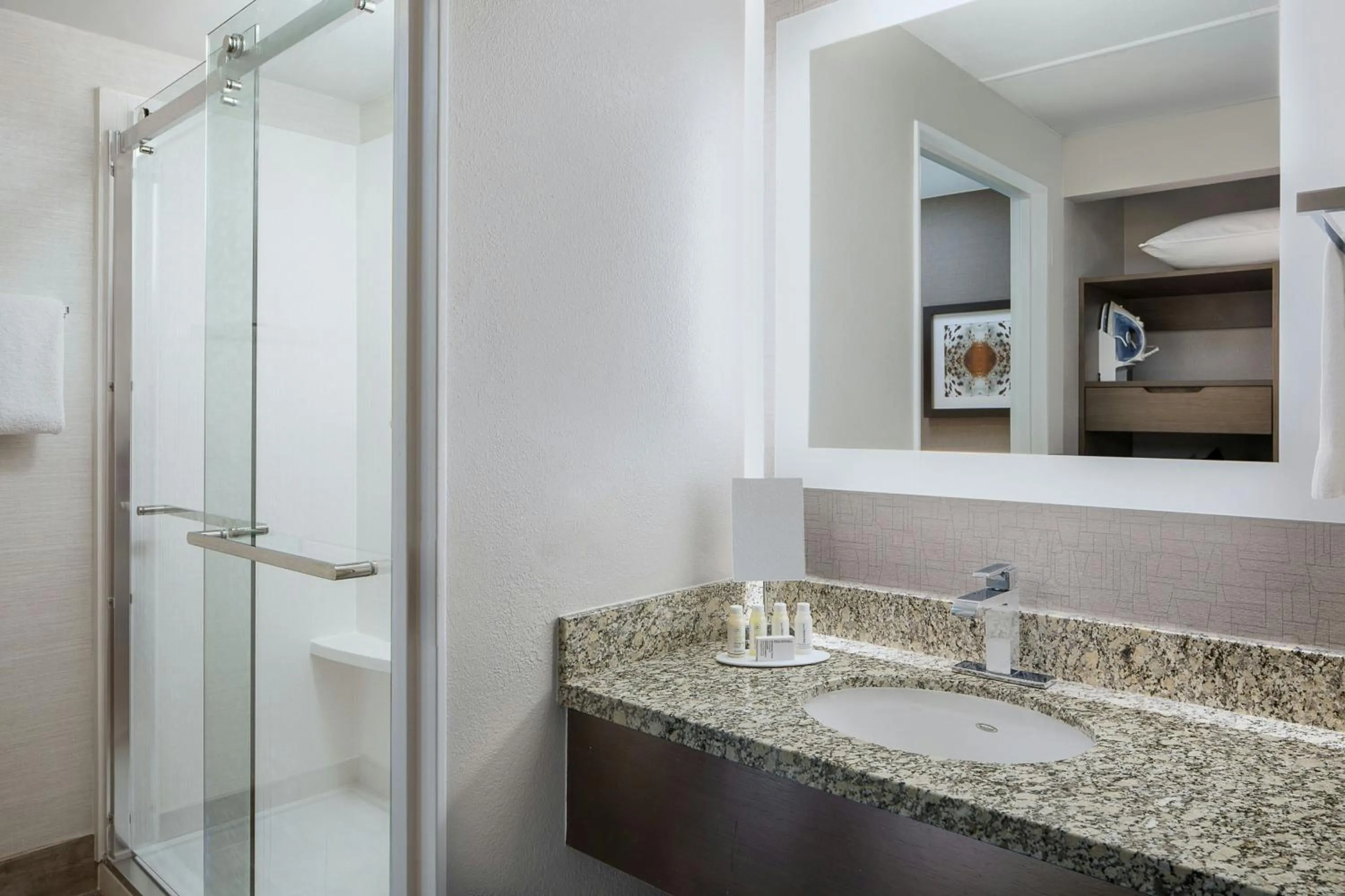 Bathroom in Courtyard Fort Worth Downtown/Blackstone