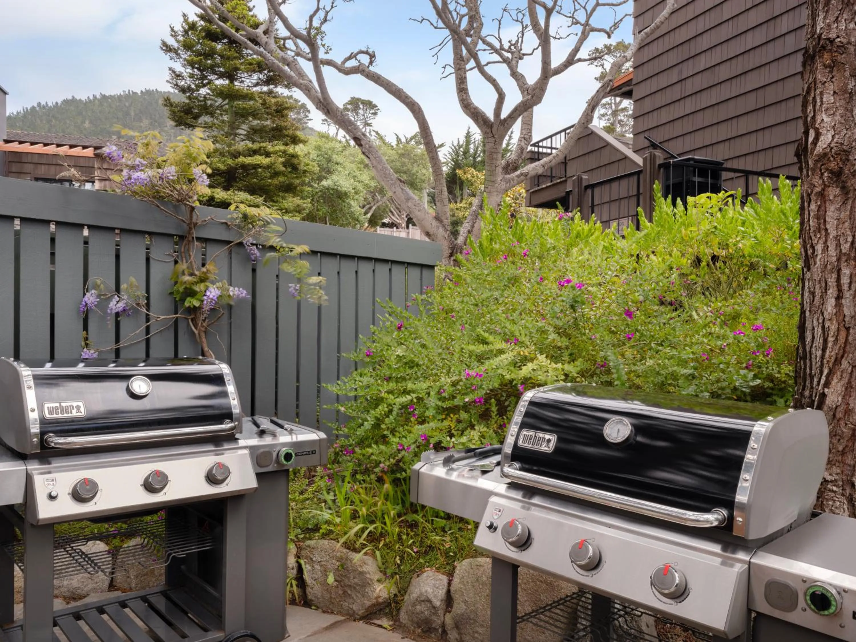 BBQ facilities in Hyatt Carmel Highlands