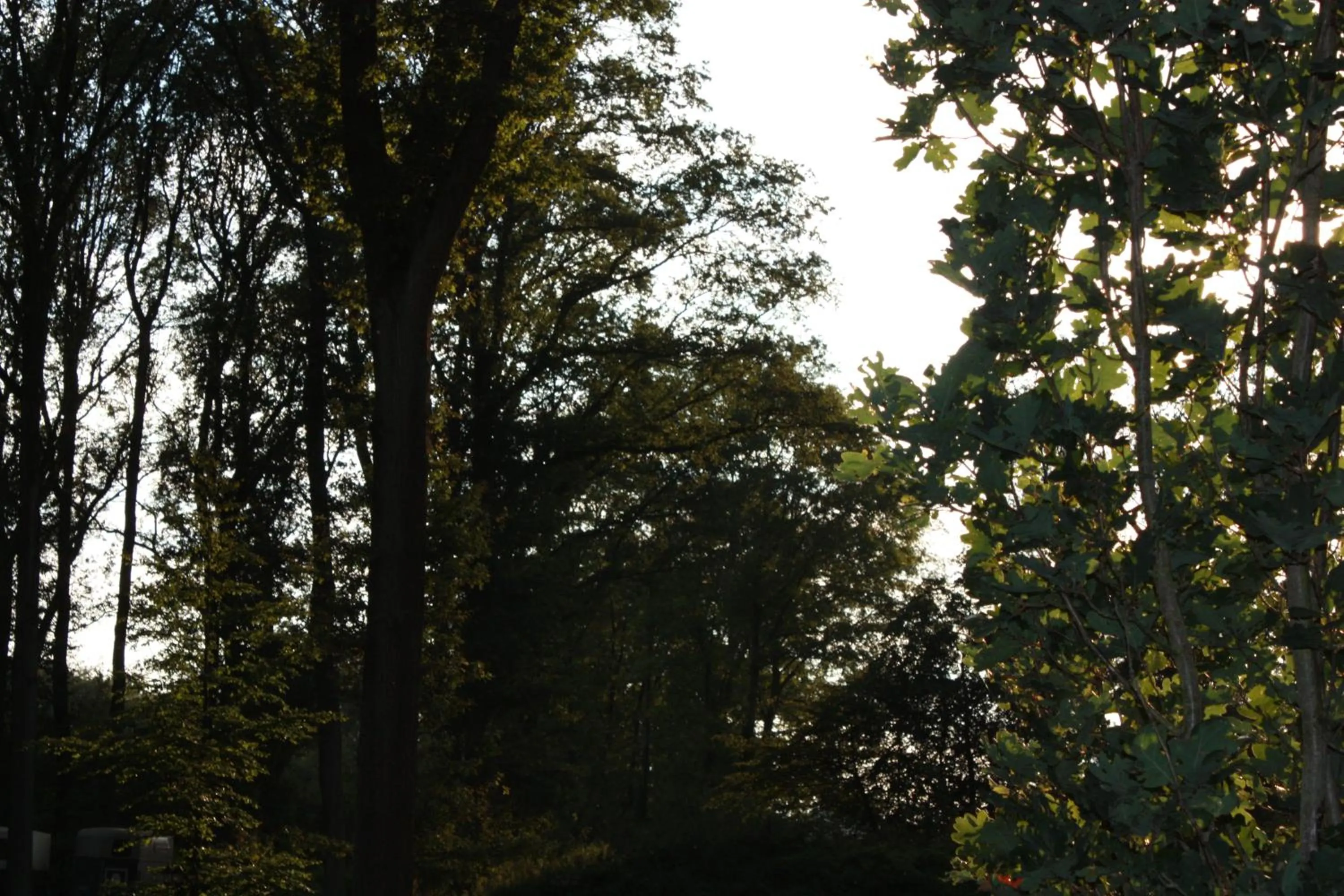 Garden in Schlafgut Hotels in Reken