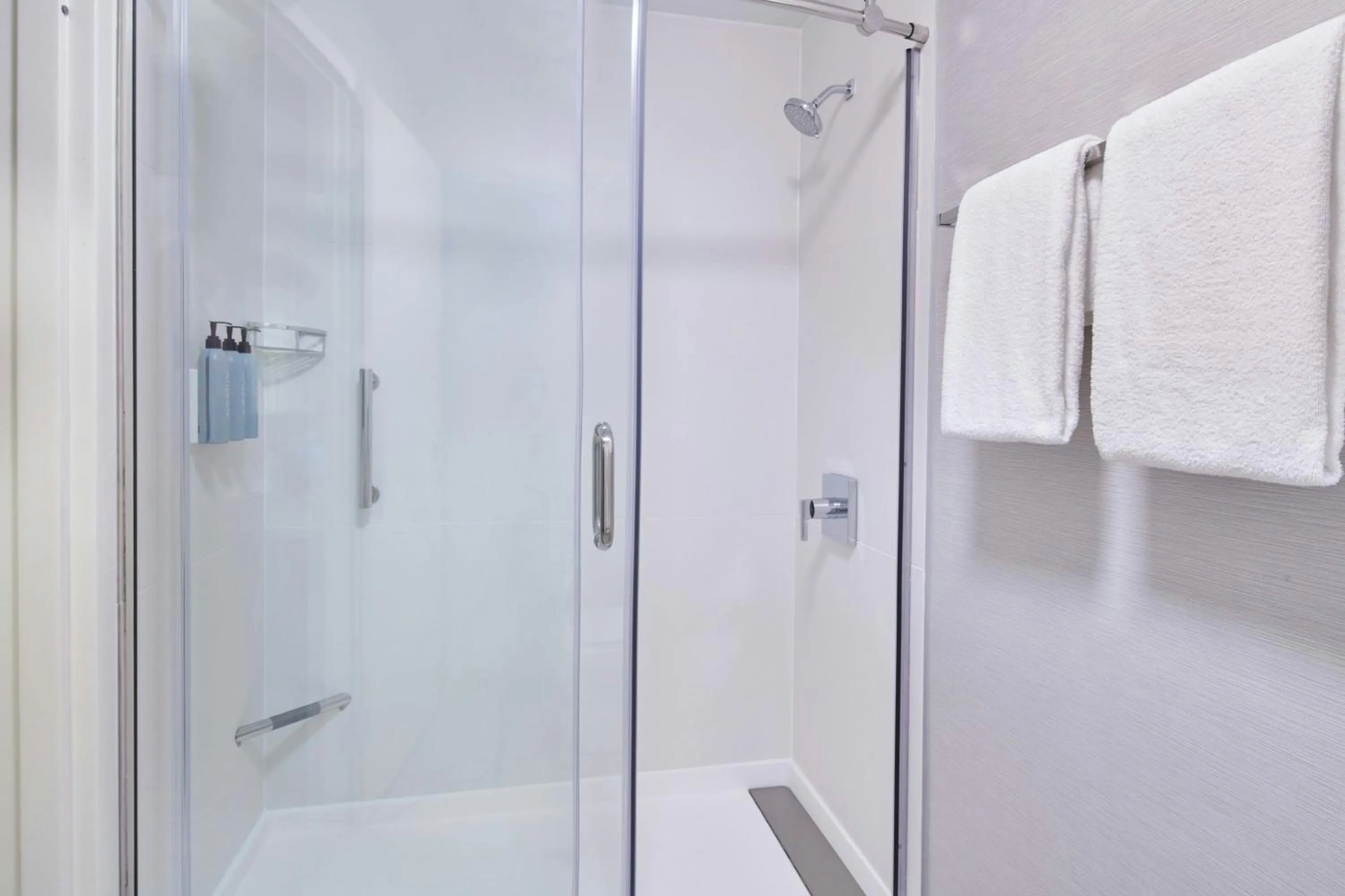 Bathroom in Courtyard Detroit Metro Airport Romulus