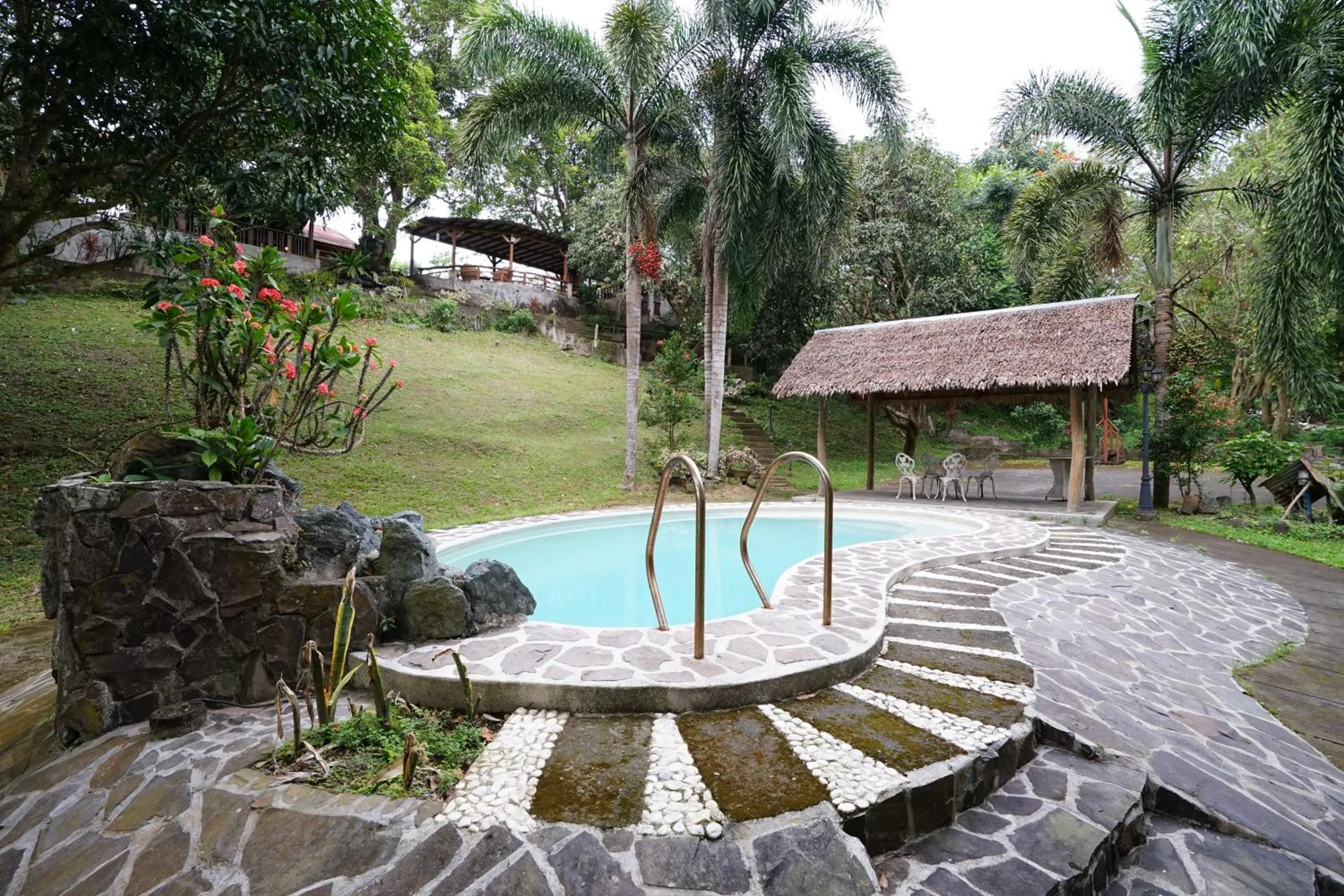 Swimming pool in Plantacion Isabelle