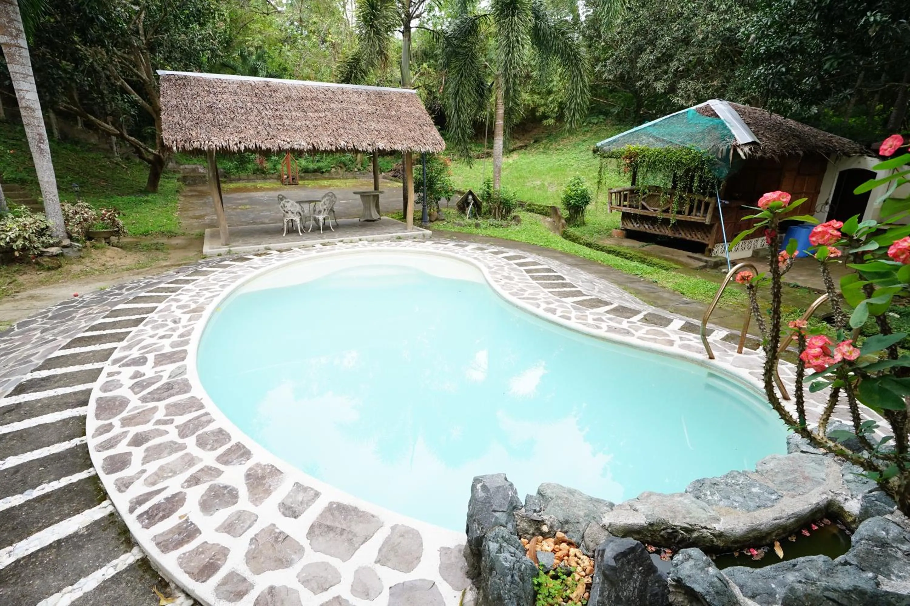 Swimming pool in Plantacion Isabelle