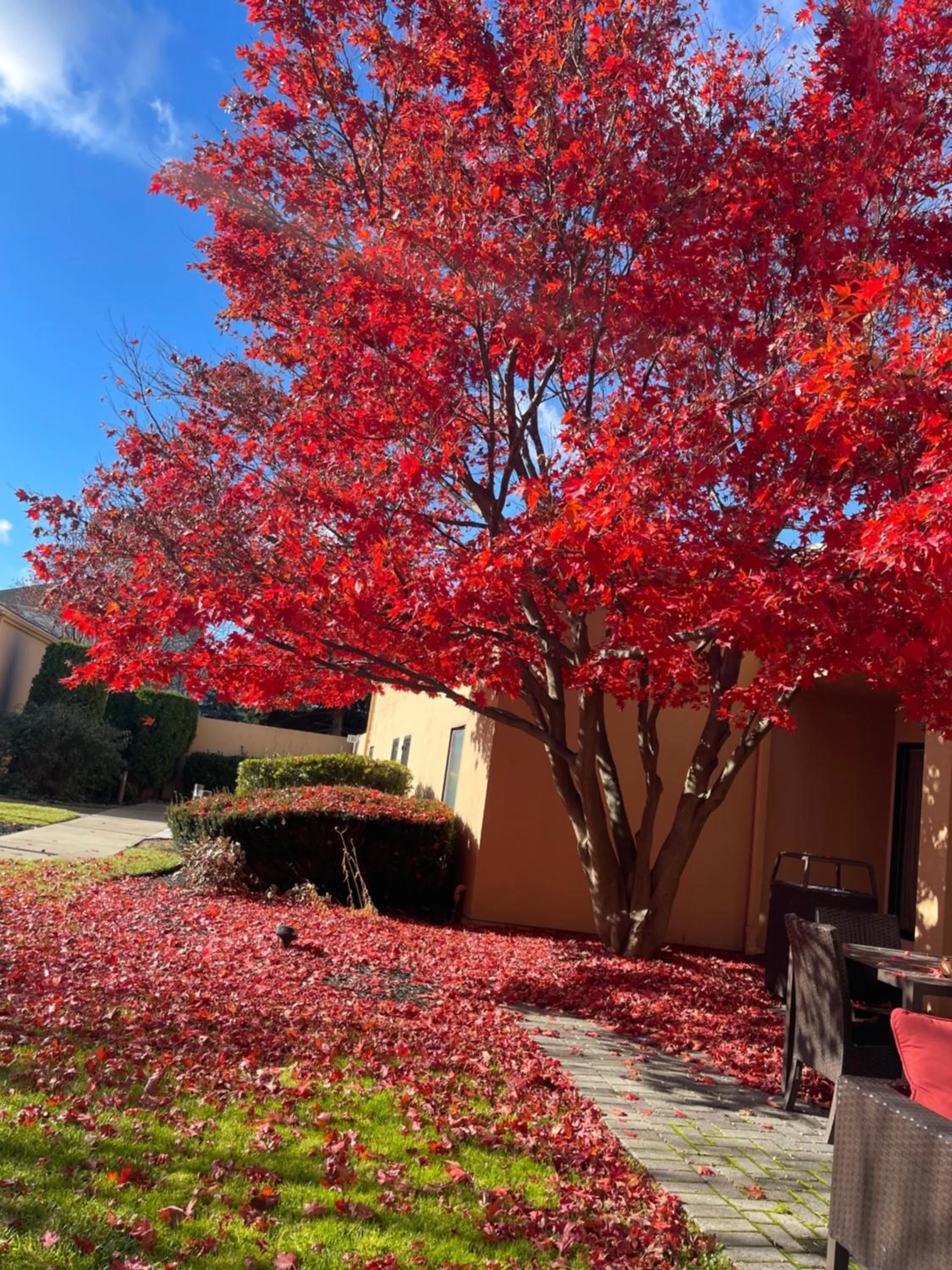 Autumn in Courtyard by Marriott Fishkill