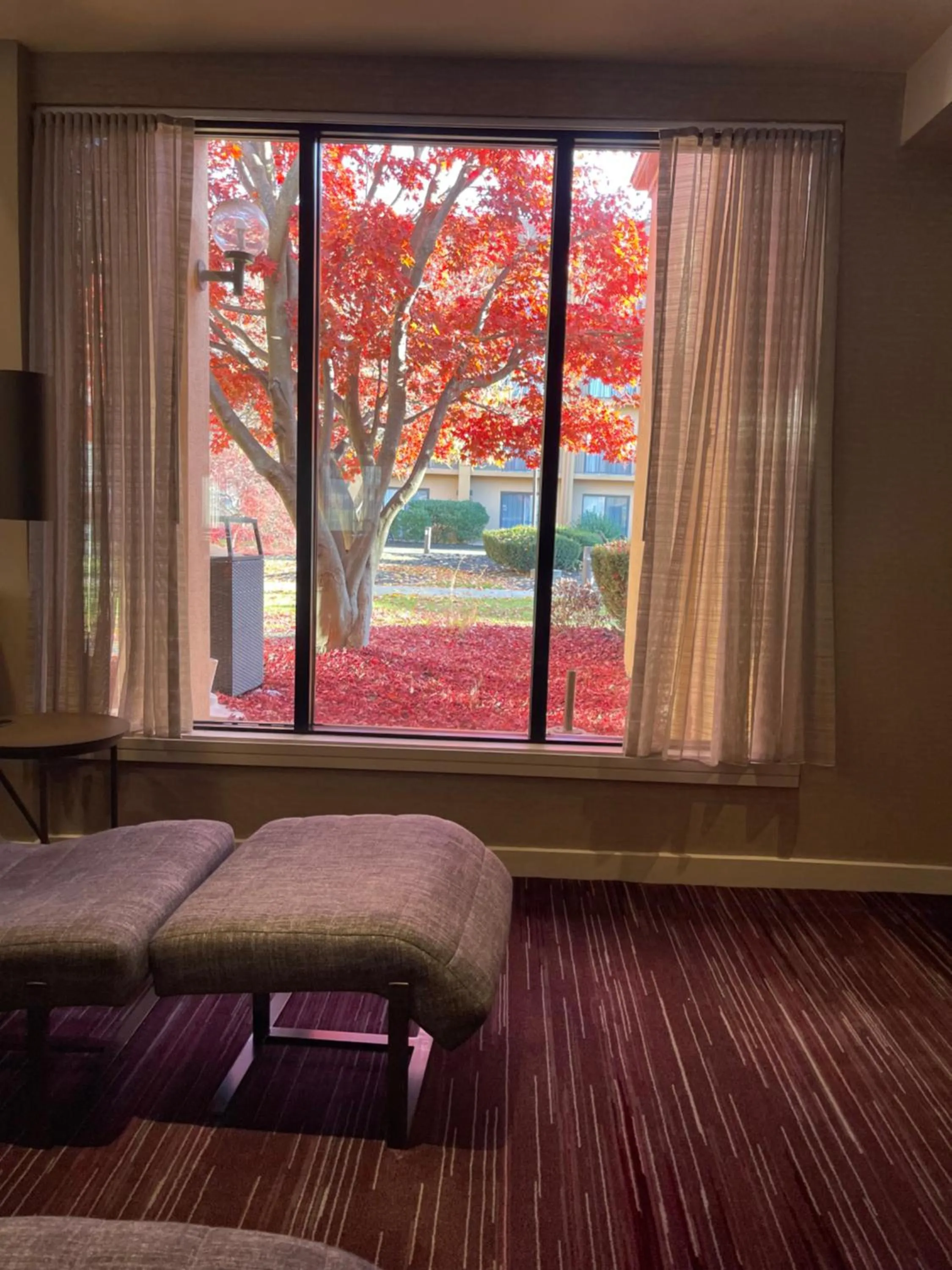 Lobby or reception, Bed in Courtyard by Marriott Fishkill