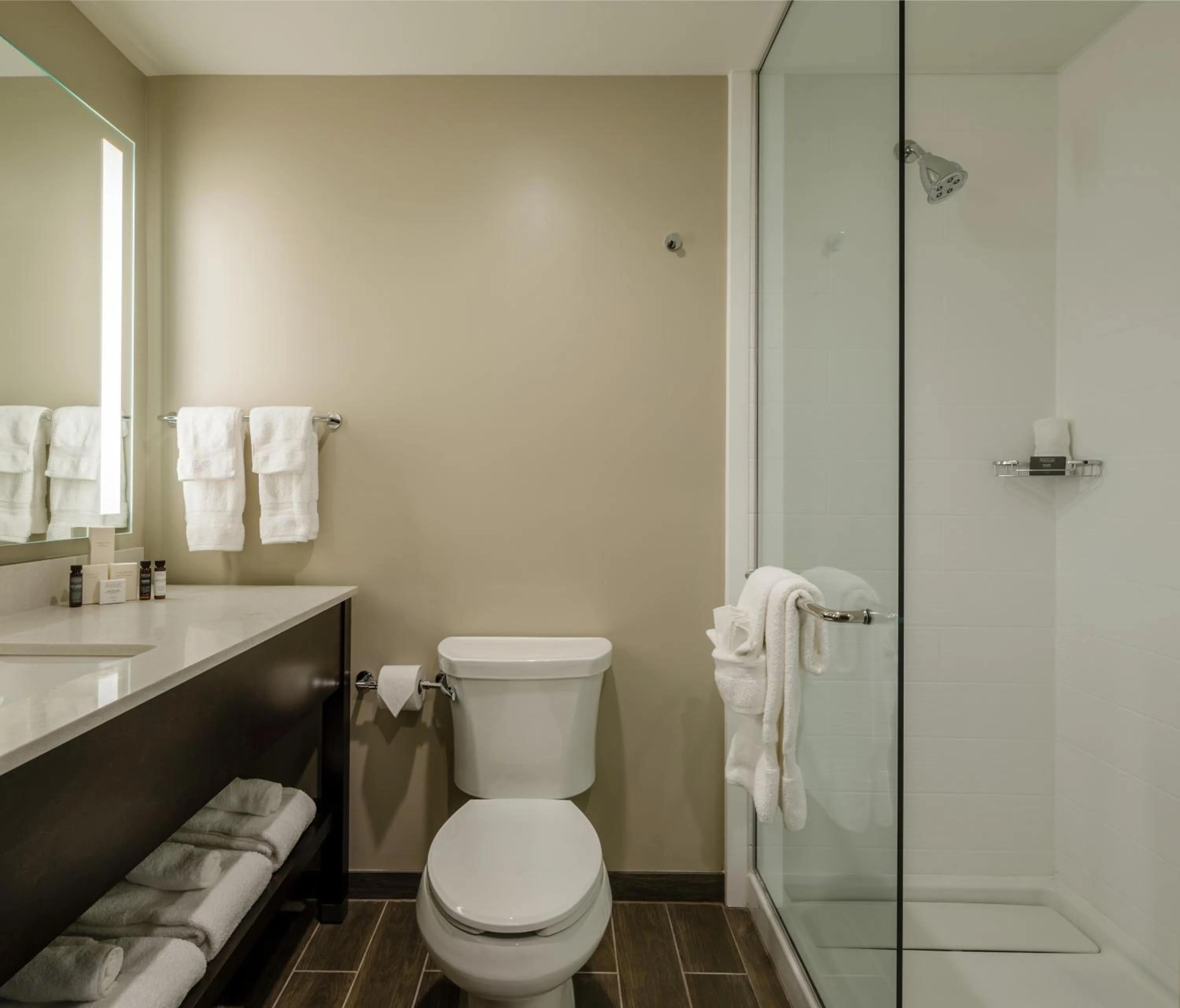Bathroom in Hotel Madison & Shenandoah Conference Ctr.