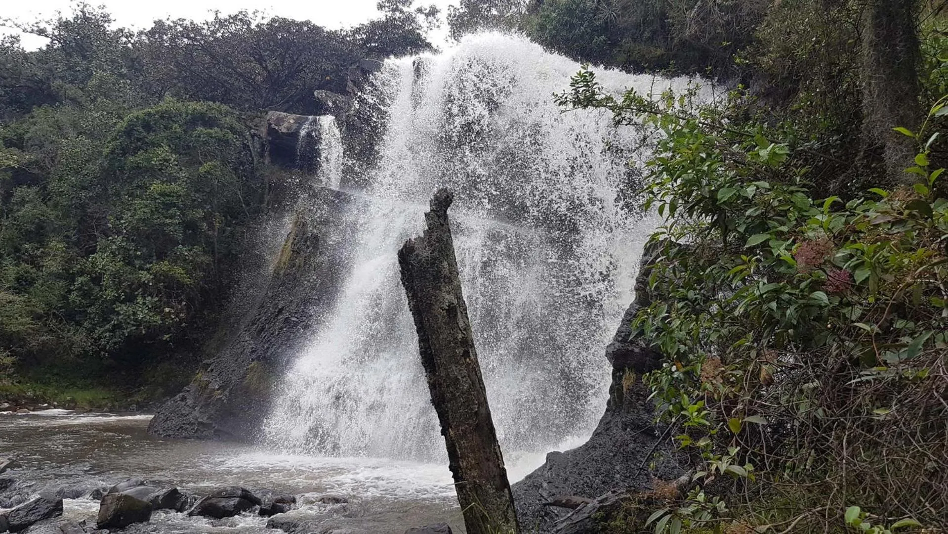 Rancho Nuevo - Ecoturismo - Cascadas la Periquera