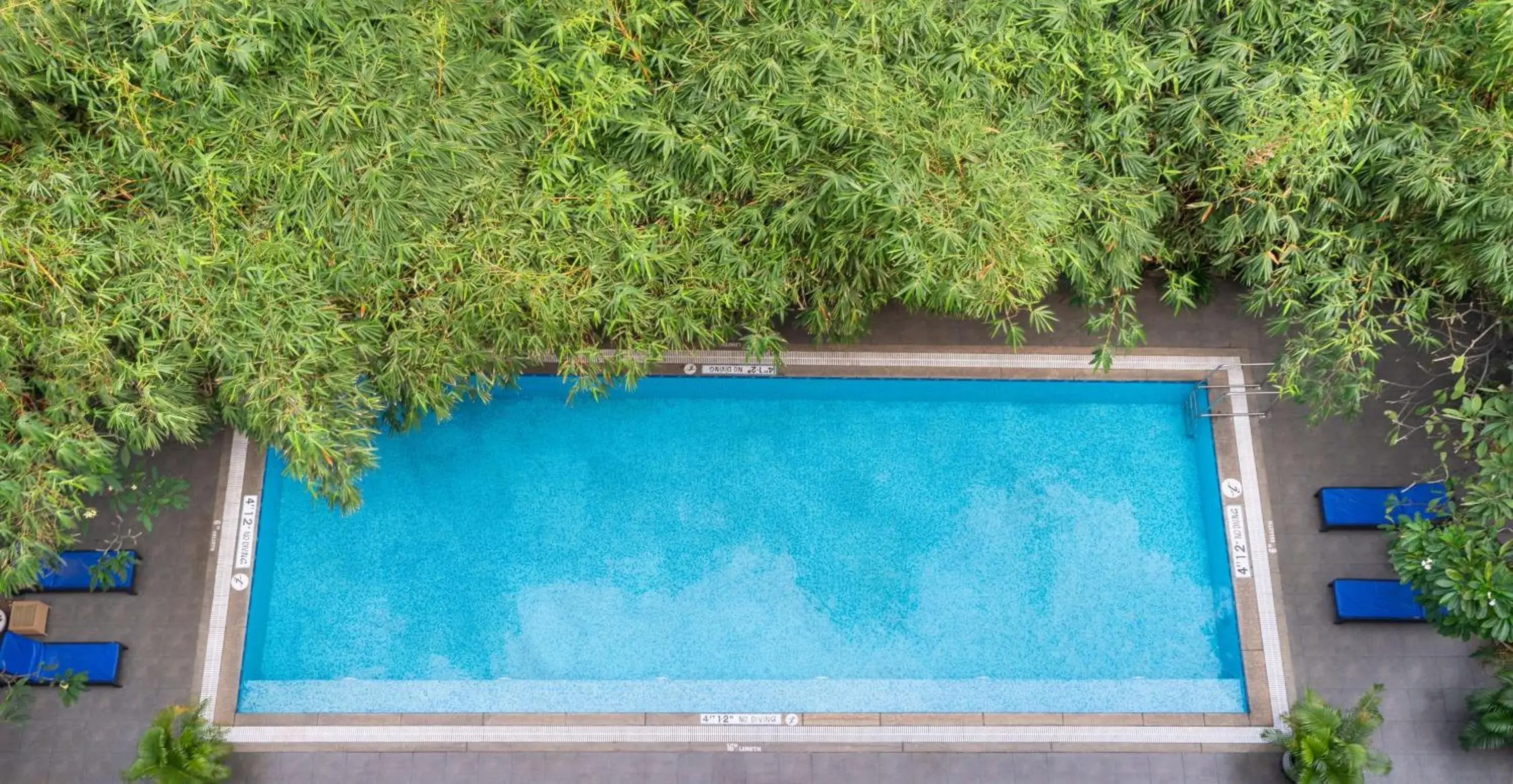 Pool view in Park Plaza Chennai OMR Pool view in Park Plaza Chennai OMR