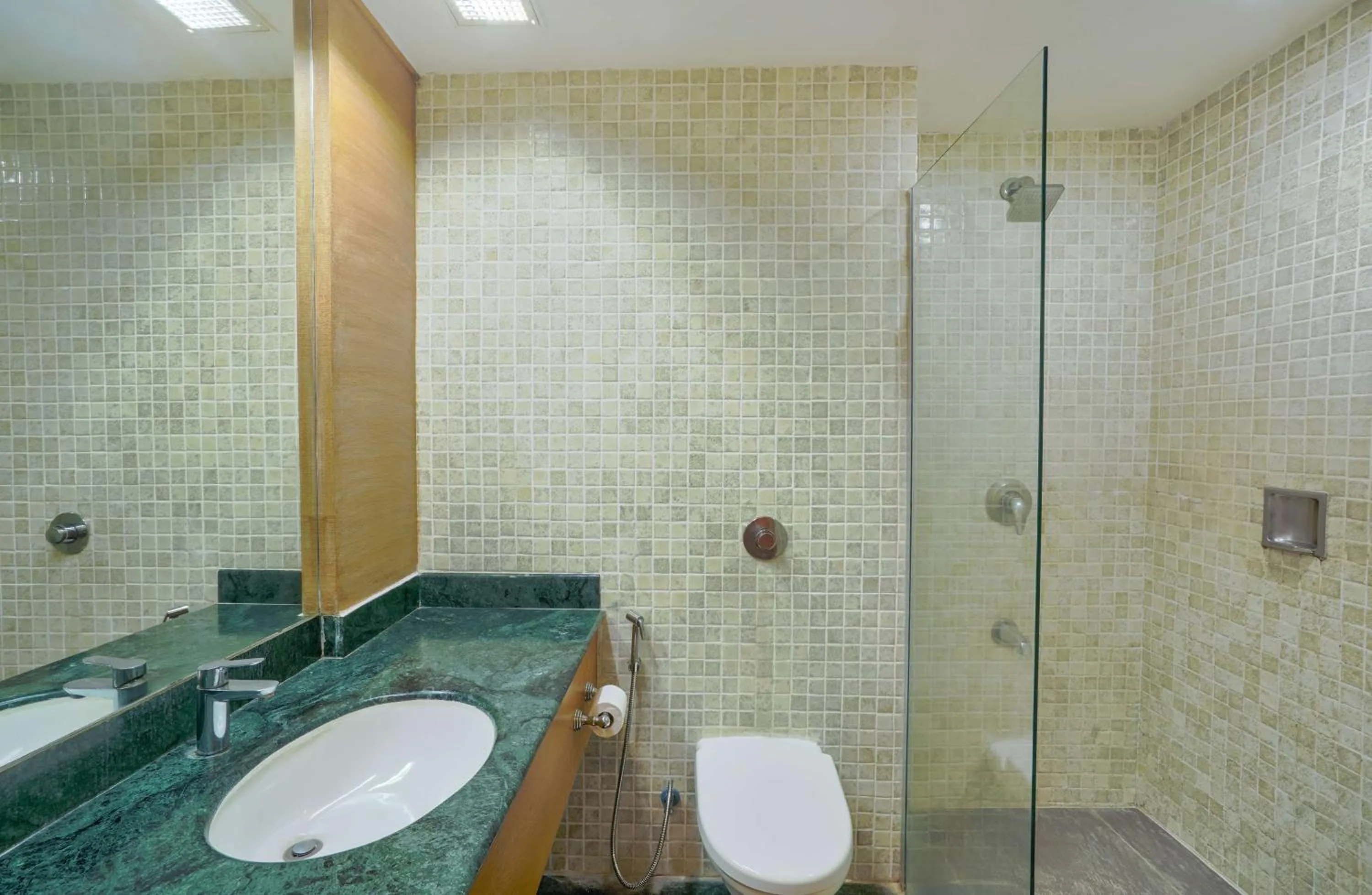 Bathroom in Park Plaza Chennai OMR